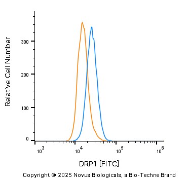 DRP1 Antibody [FITC]