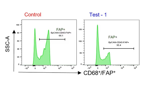 Fibroblast Activation Protein alpha/FAP Antibody [DyLight 650]