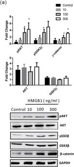 GAPDH Antibody (1D4)