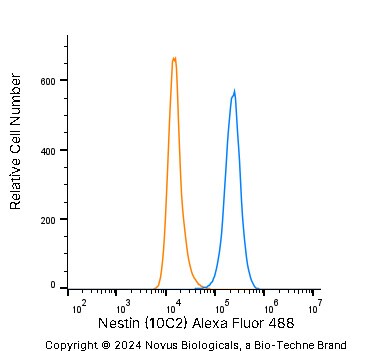 Nestin Antibody (10C2) [Alexa Fluor® 488]
