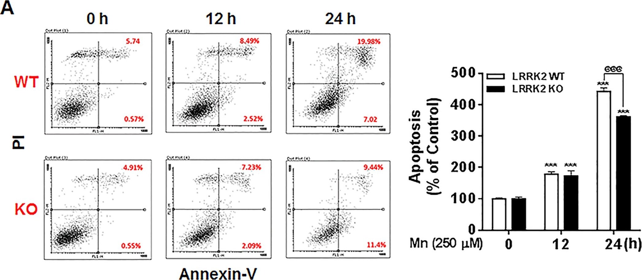 LRRK2 Antibody - BSA Free
