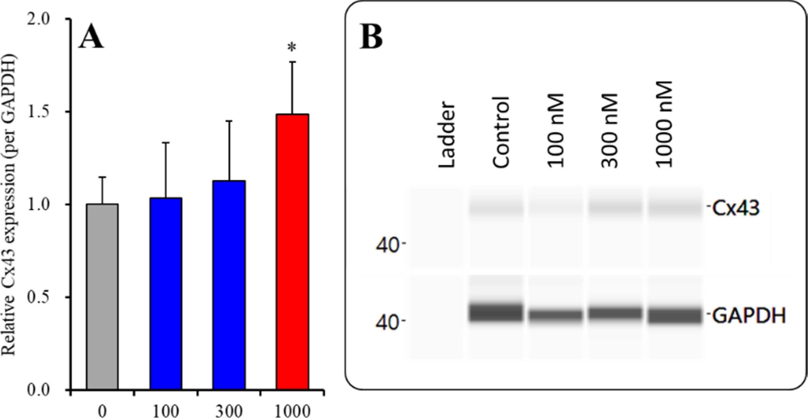 GAPDH Antibody