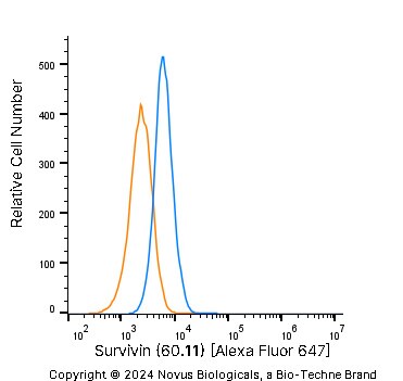 Survivin Antibody (60.11) [Alexa Fluor® 647]