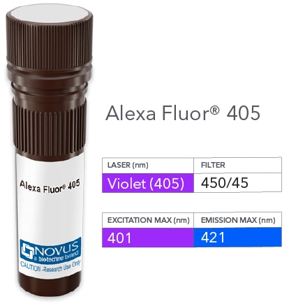 TCR V beta 5 Antibody (MEM-262) [Alexa Fluor® 405]