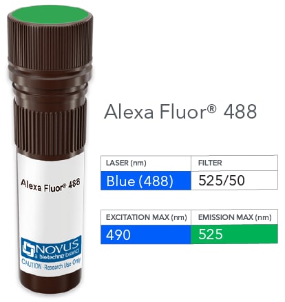 TCR V beta 5 Antibody (MEM-262) [Alexa Fluor® 488]