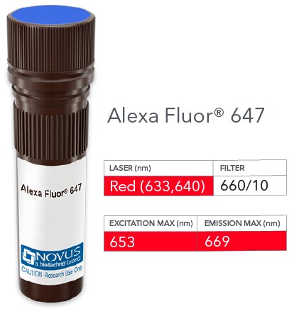 TCR V beta 5 Antibody (MEM-262) [Alexa Fluor® 647]