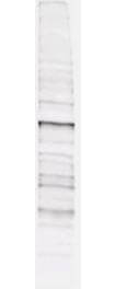 Phosphothreonine Antibody (18F6)