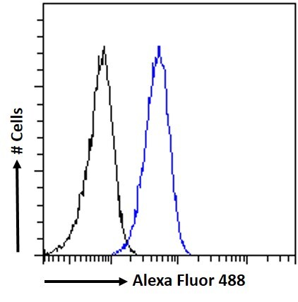 CTDSPL Antibody
