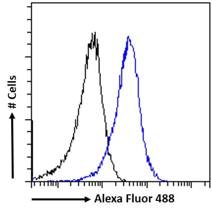 ACAT1 Antibody