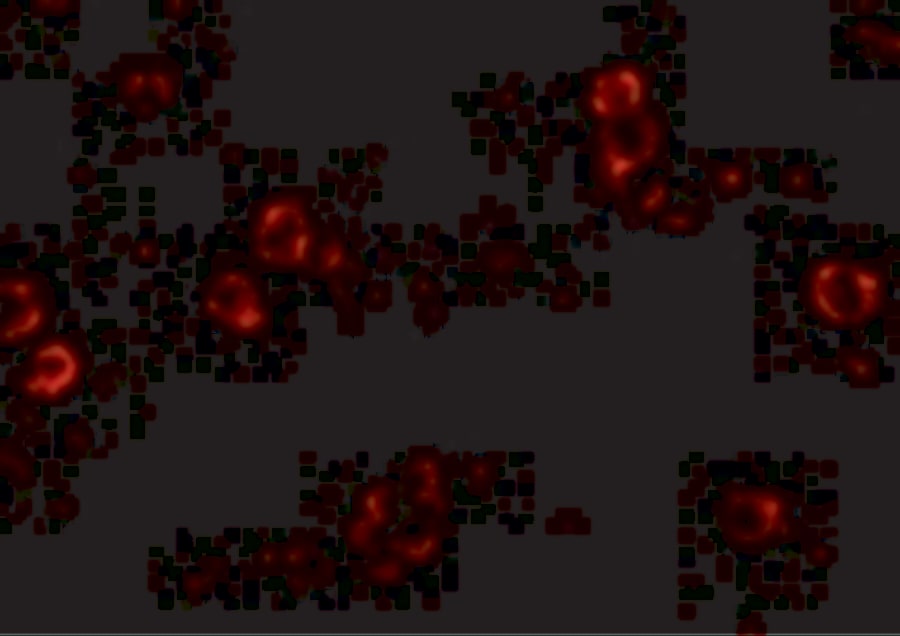 XBP1 Antibody (3H1G4) - BSA Free