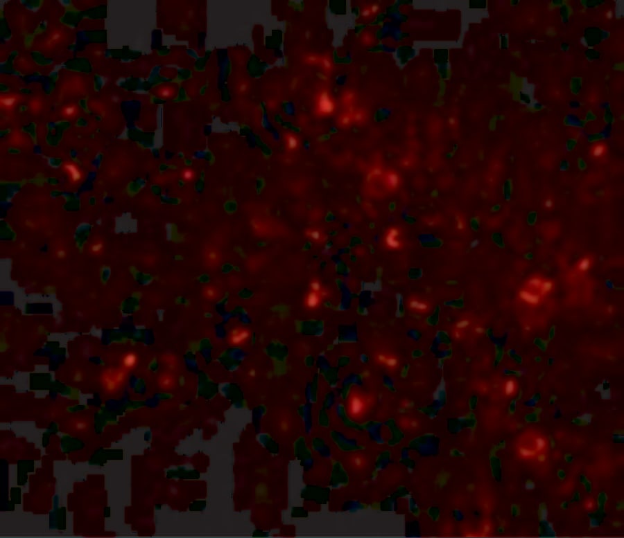 Orai1 Antibody (3F6H5) - BSA Free