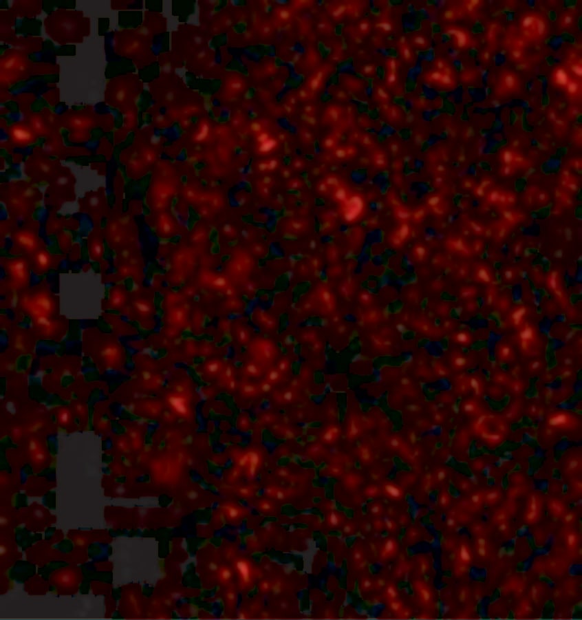 IL-33 Antibody - BSA Free