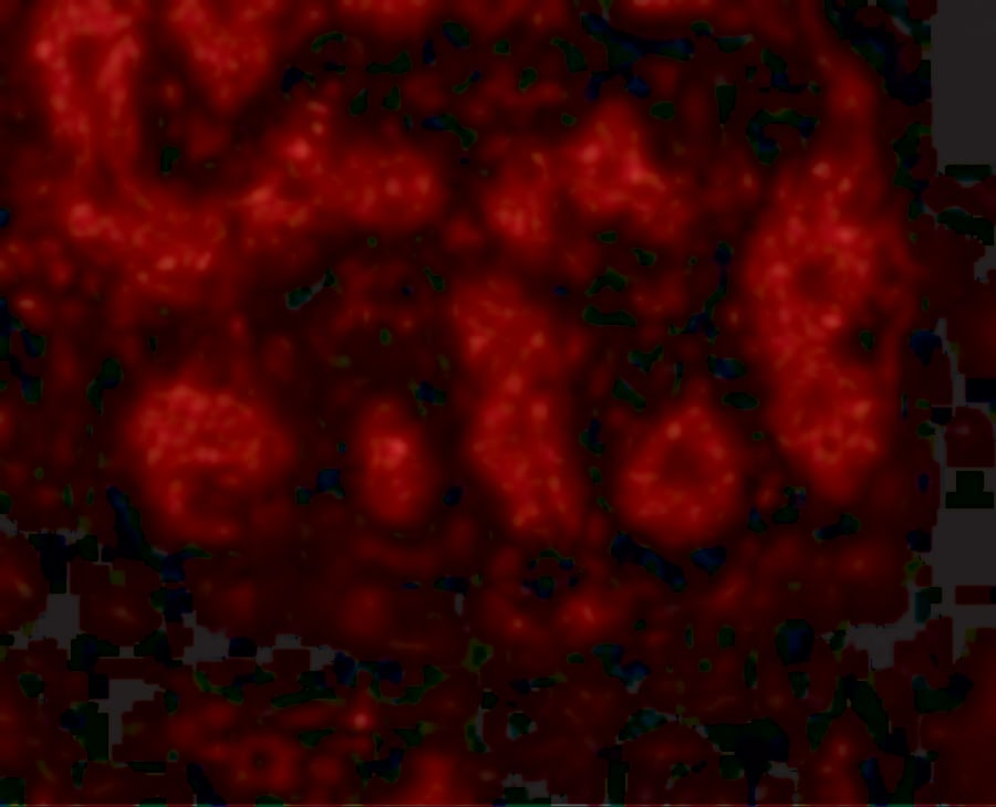 TRIM5 alpha Antibody - BSA Free