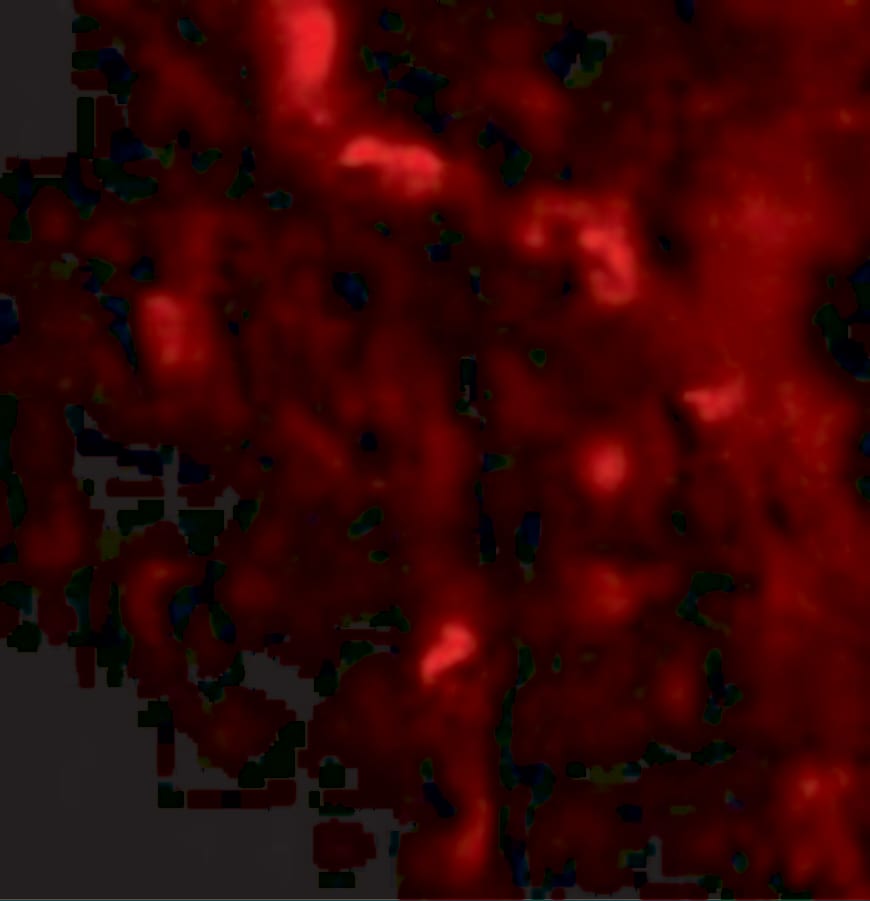 IRGM Antibody - BSA Free