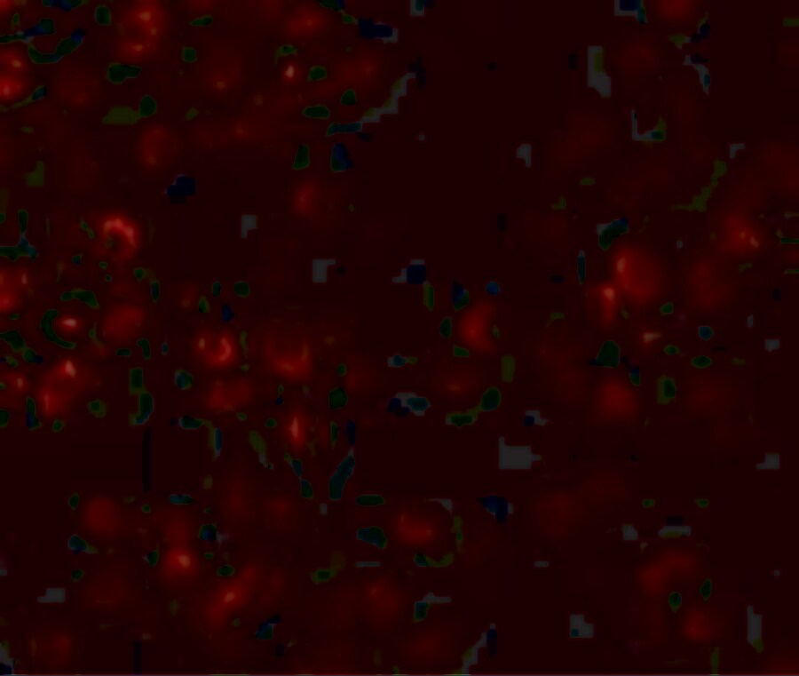 SCUBE1 Antibody - BSA Free
