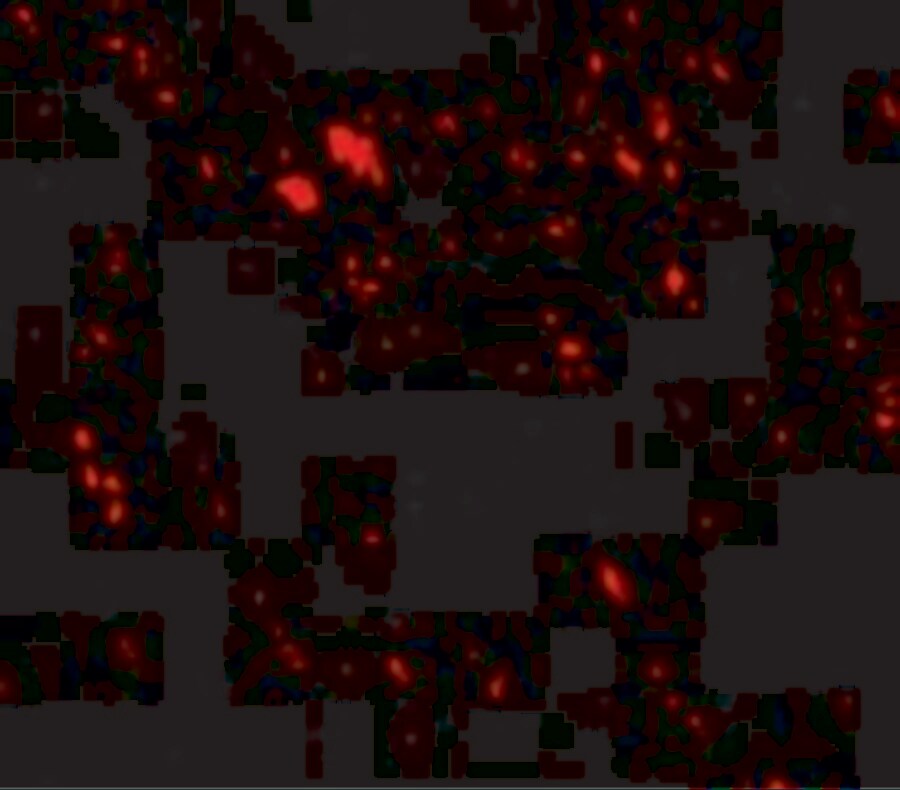 LIMPII/SR-B2 Antibody - BSA Free