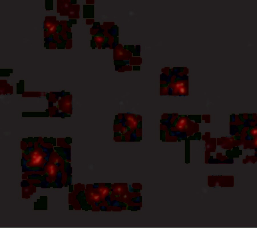 Lass5 Antibody - BSA Free