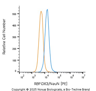 RBFOX3/NeuN Antibody [PE]