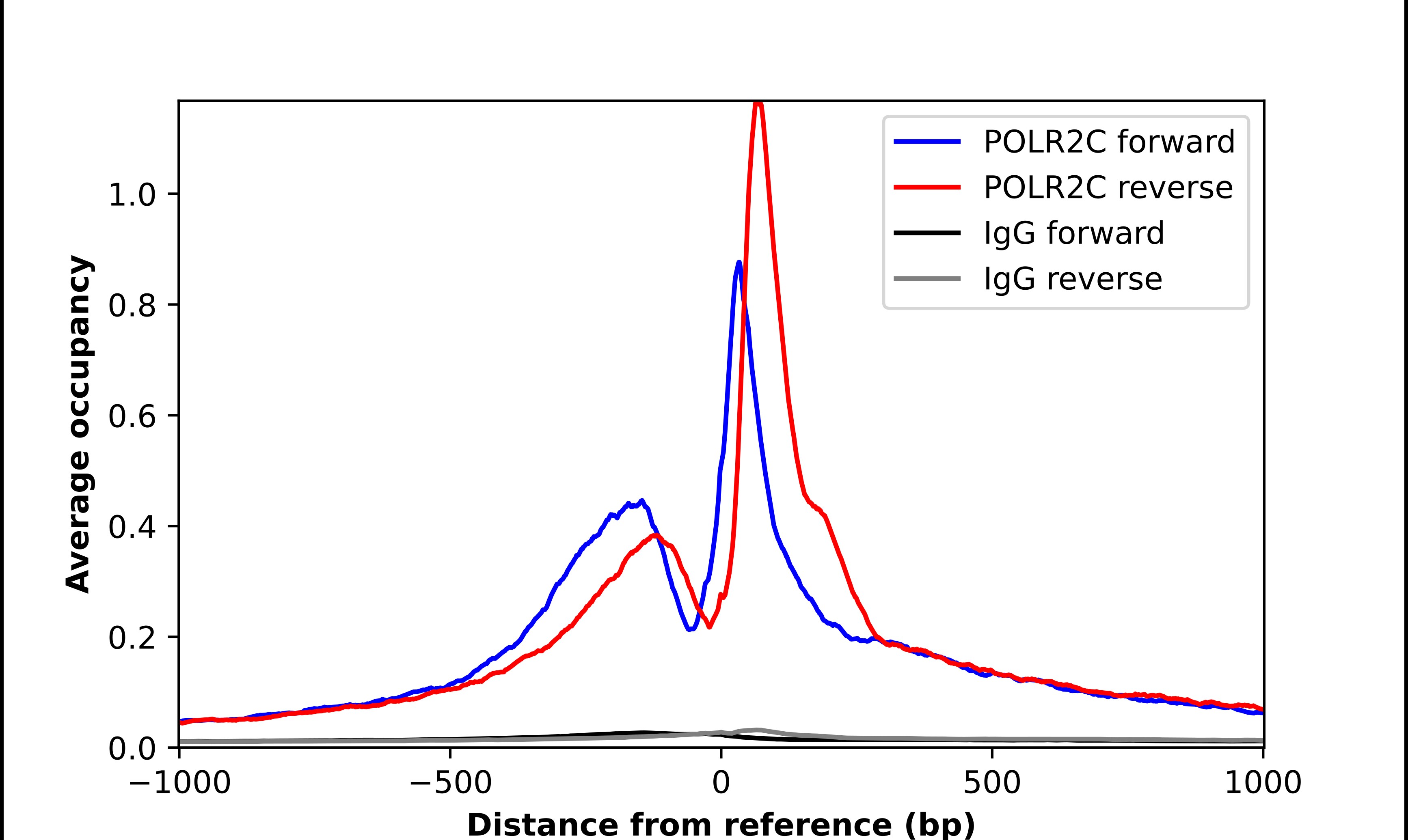POLR2C Antibody - BSA Free Chromatin Immunoprecipitation-exo-Seq: POLR2C Antibody - BSA Free [NBP1-80818]