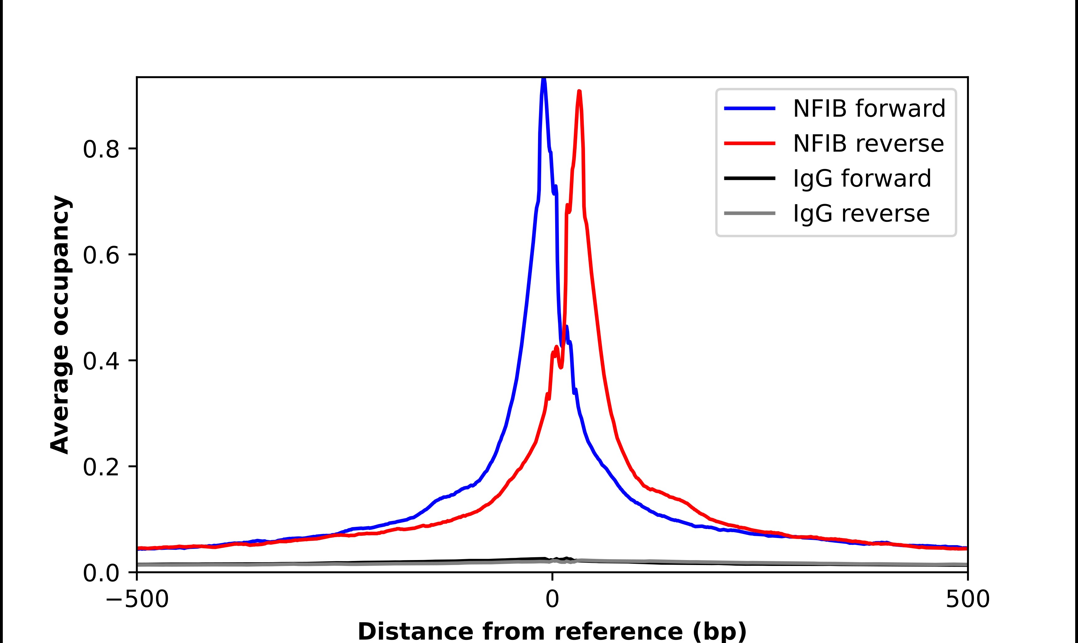 NFIB Antibody - BSA Free Chromatin Immunoprecipitation-exo-Seq: NFIB Antibody - BSA Free [NBP1-81000]