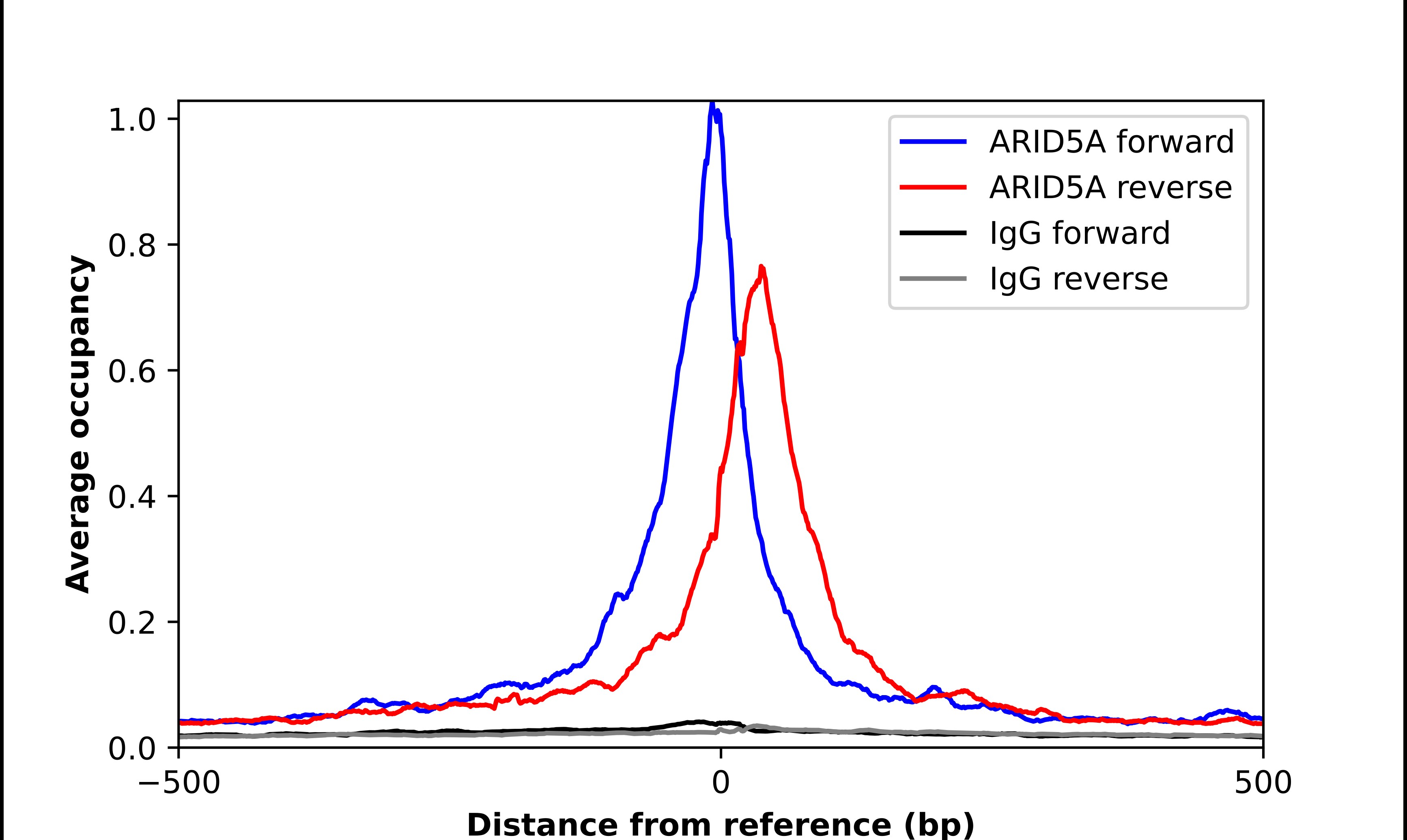 ARID5A Antibody - BSA Free Chromatin Immunoprecipitation-exo-Seq: ARID5A Antibody - BSA Free [NBP1-81037]