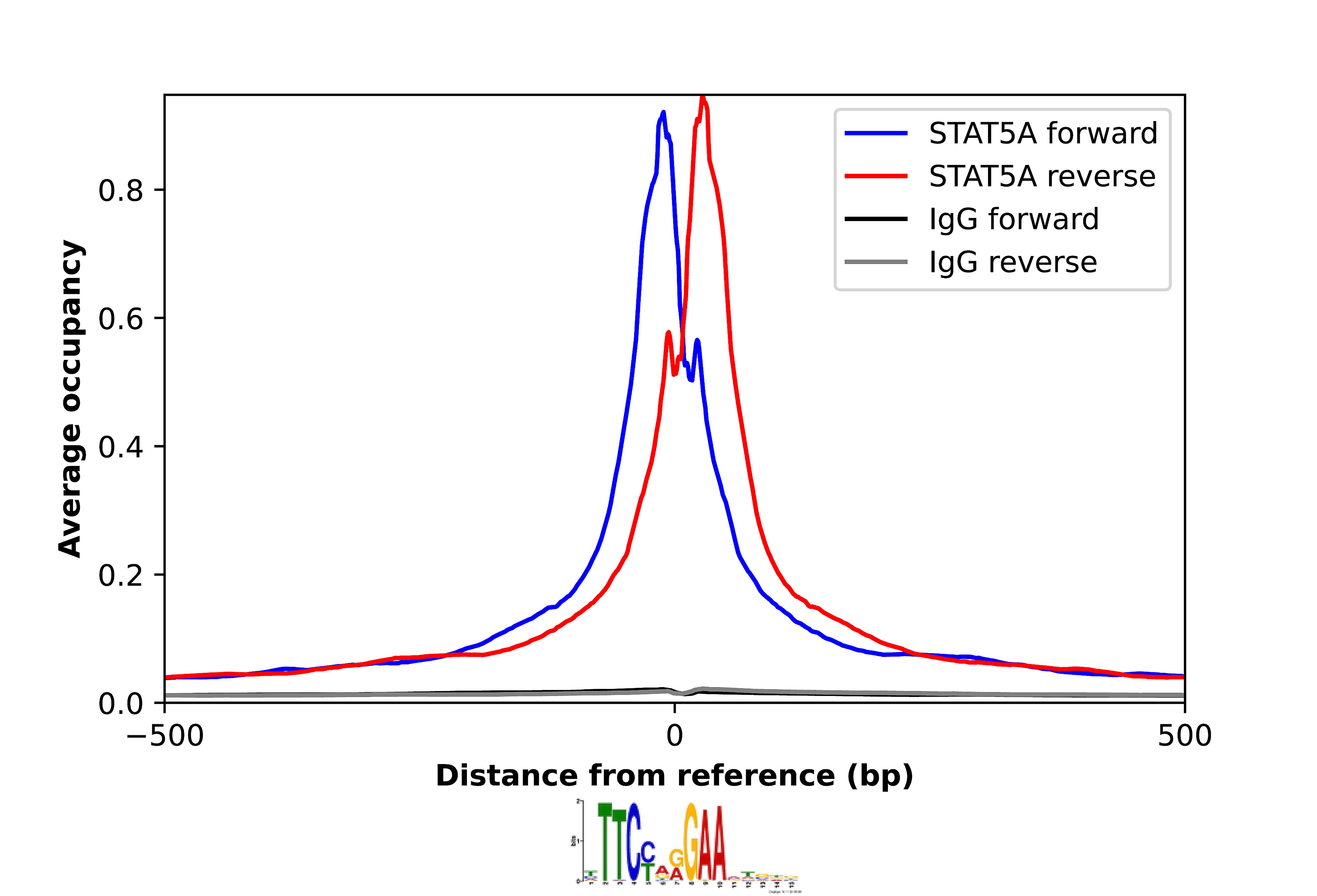 STAT5A Antibody - BSA Free Chromatin Immunoprecipitation-exo-Seq: STAT5A Antibody - BSA Free [NBP1-81051]