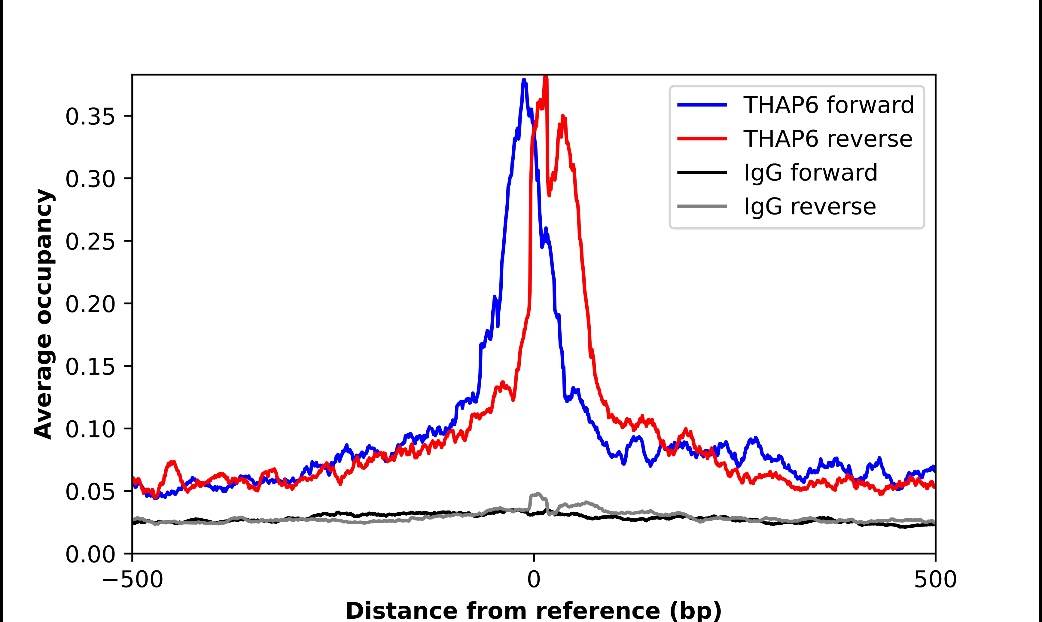 THAP6 Antibody - BSA Free Chromatin Immunoprecipitation-exo-Seq: THAP6 Antibody - BSA Free [NBP1-81130]