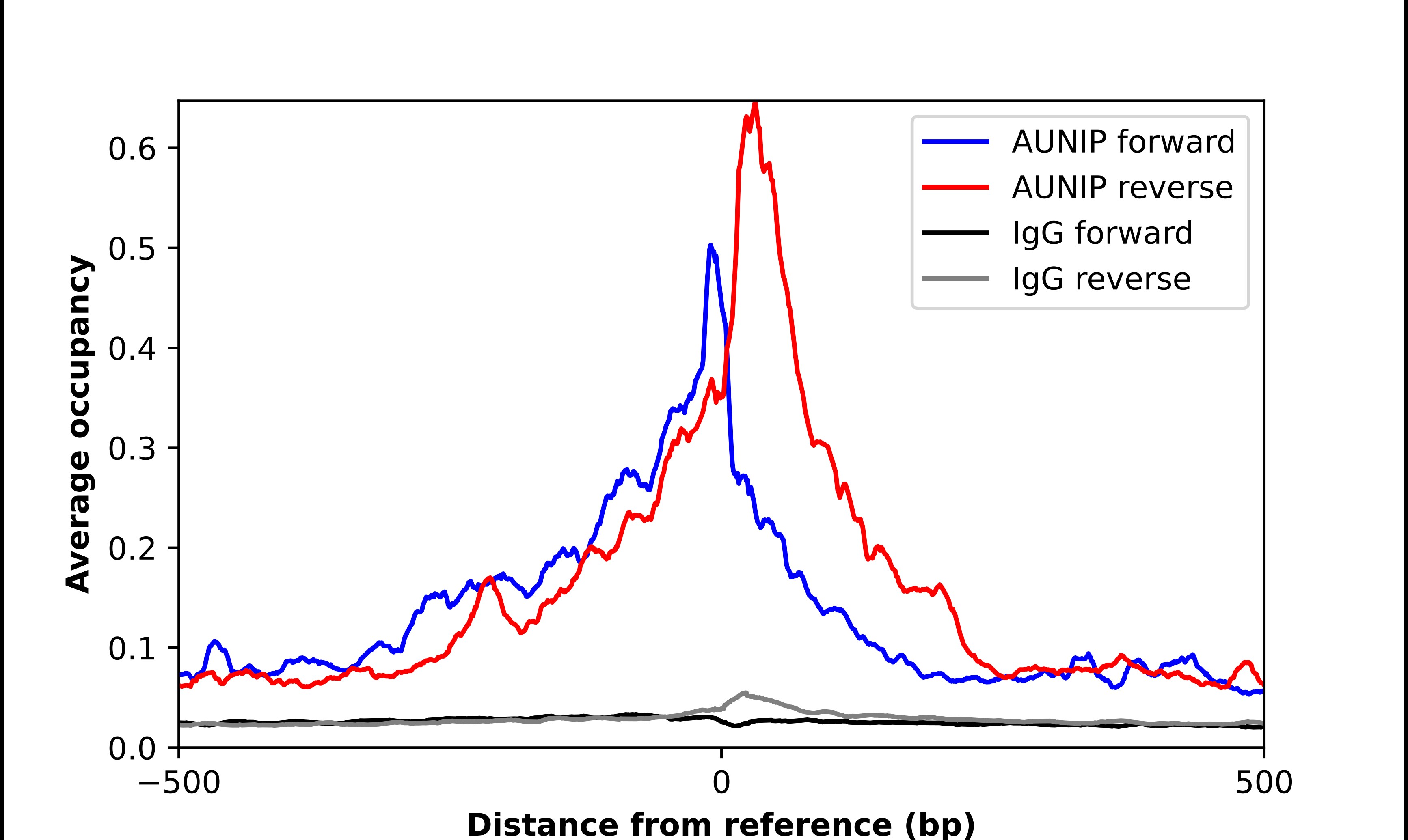 aurora A-binding protein Antibody - BSA Free Chromatin Immunoprecipitation ChIP: aurora A-binding protein Antibody - BSA Free