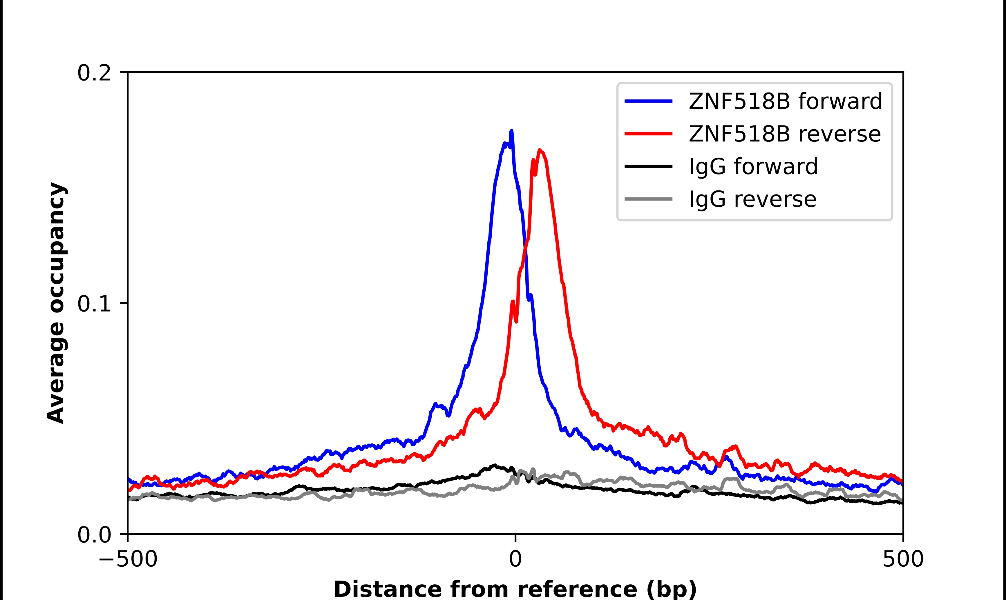 ZNF518B Antibody - BSA Free Chromatin Immunoprecipitation ChIP: ZNF518B Antibody - BSA Free