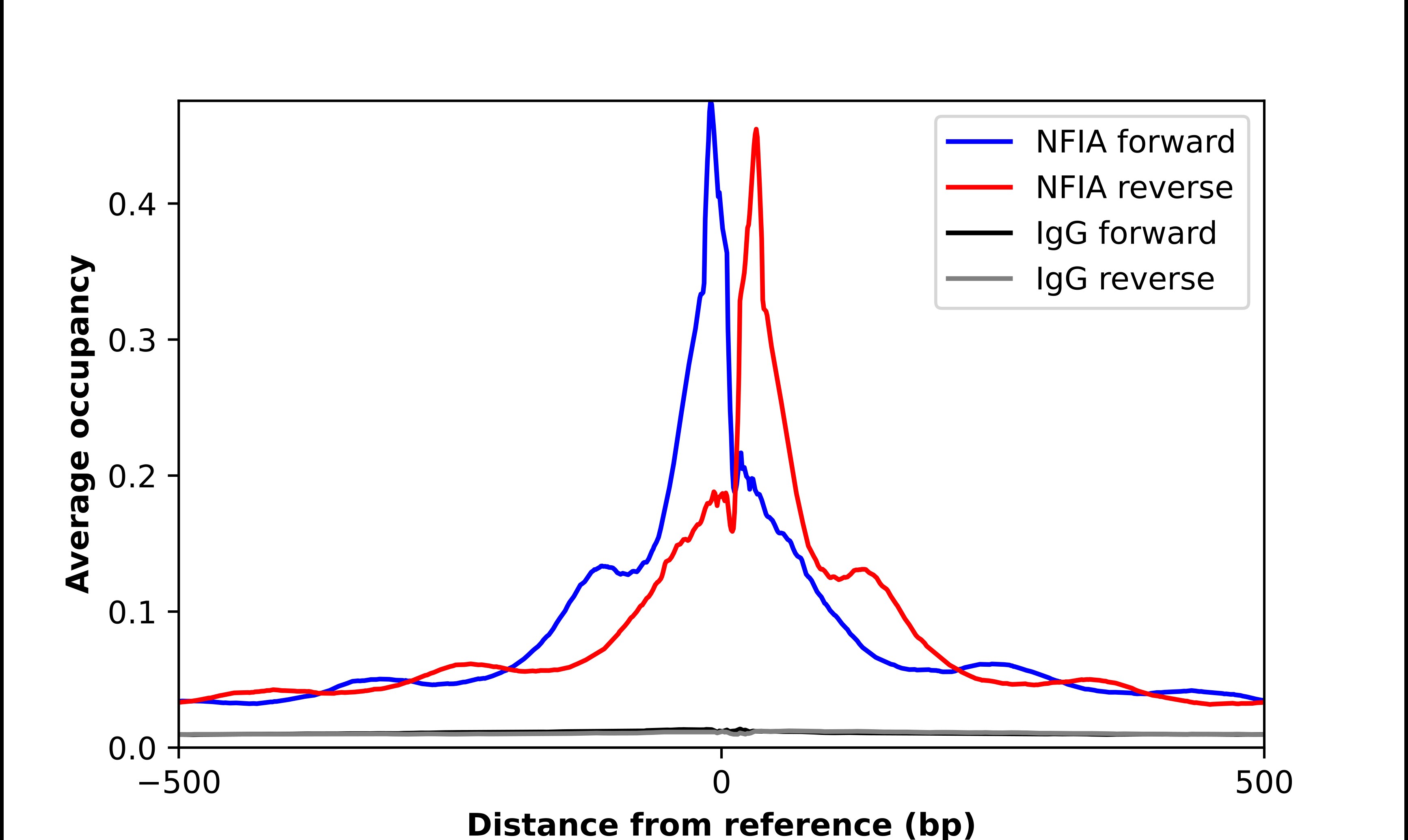 NFIA Antibody - BSA Free Chromatin Immunoprecipitation-exo-Seq: NFIA Antibody - BSA Free [NBP1-81407]