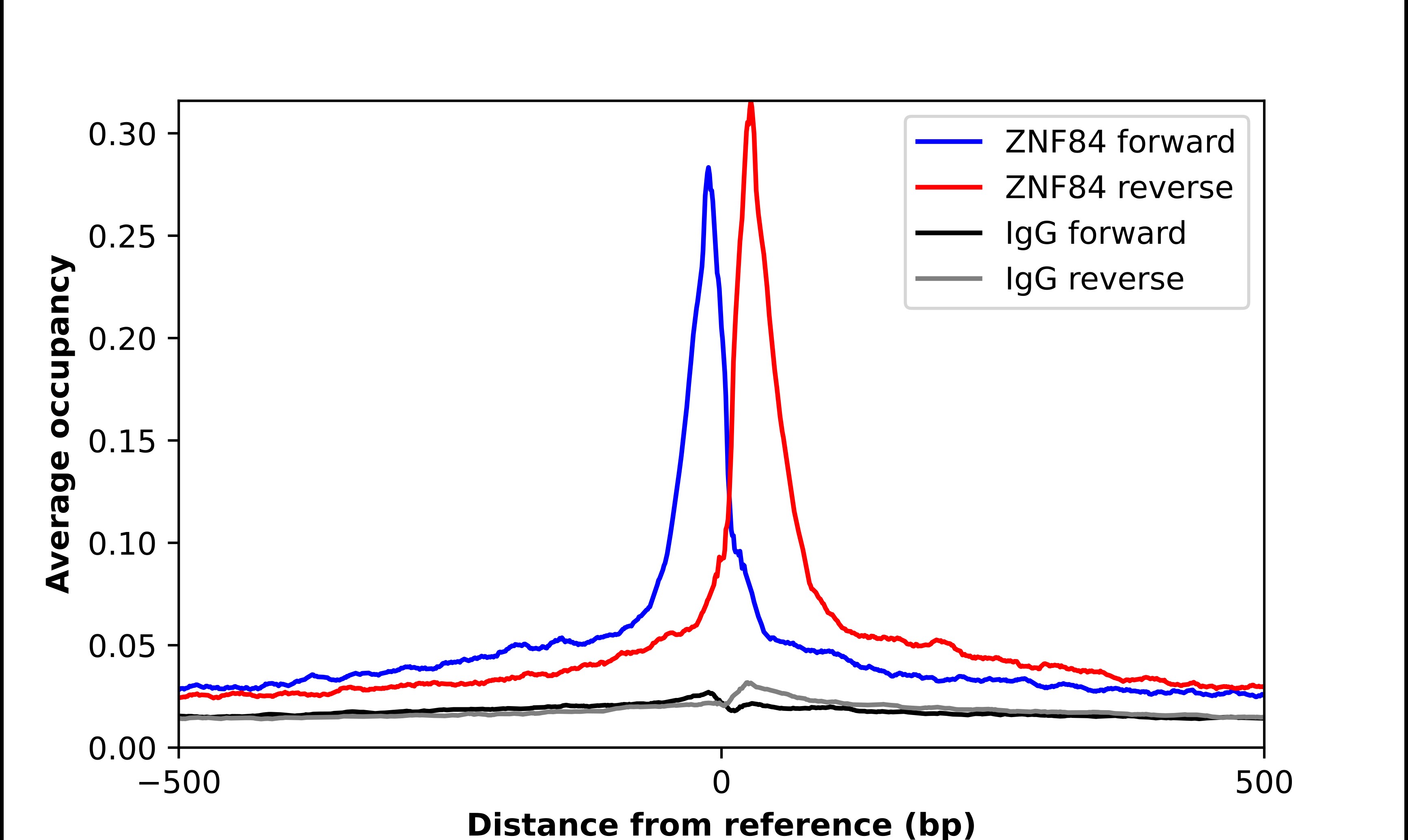 ZNF84 Antibody - BSA Free Chromatin Immunoprecipitation-exo-Seq: ZNF84 Antibody - BSA Free [NBP1-81715]