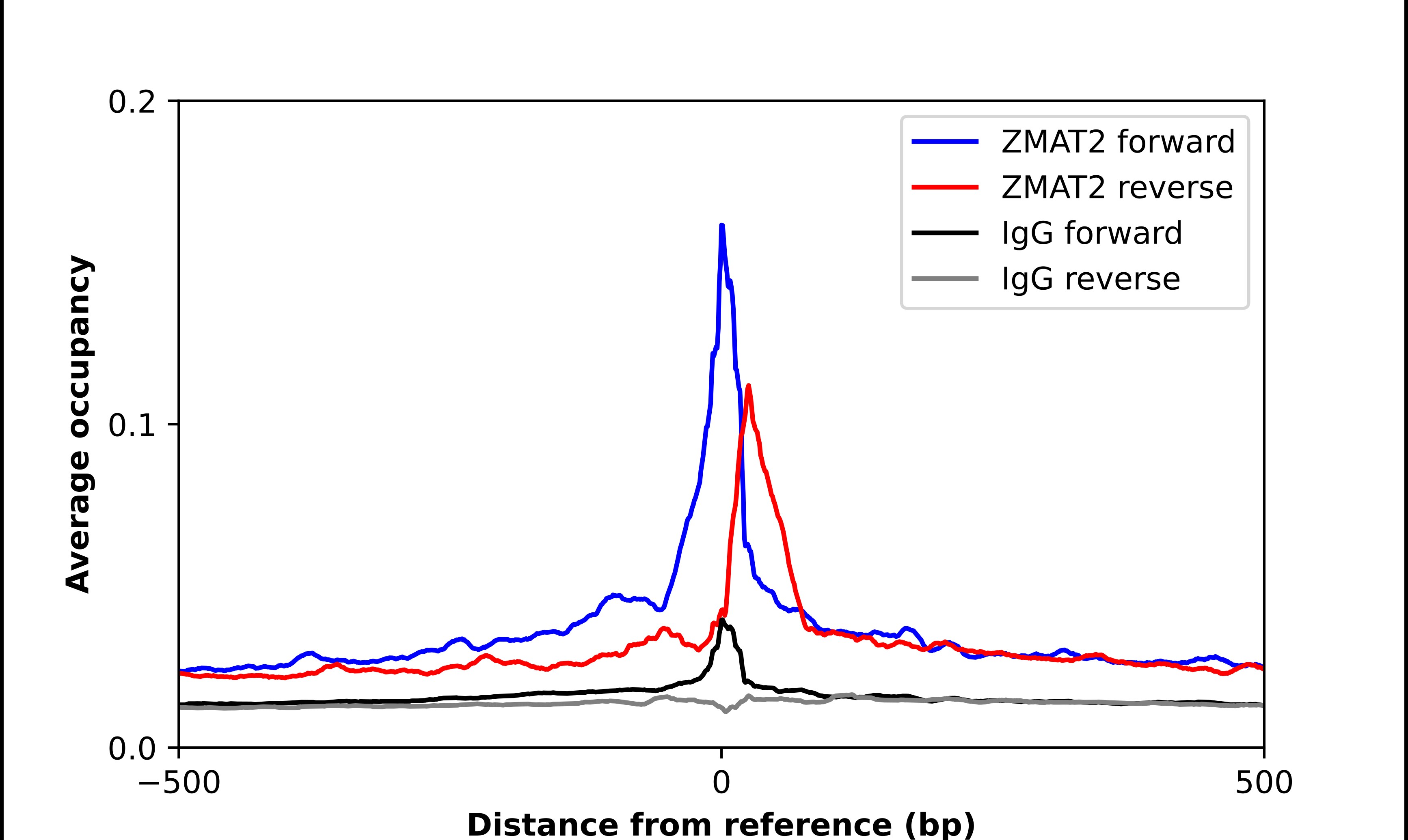 Zmat2 Antibody - BSA Free Chromatin Immunoprecipitation-exo-Seq: Zmat2 Antibody - BSA Free [NBP1-82026]