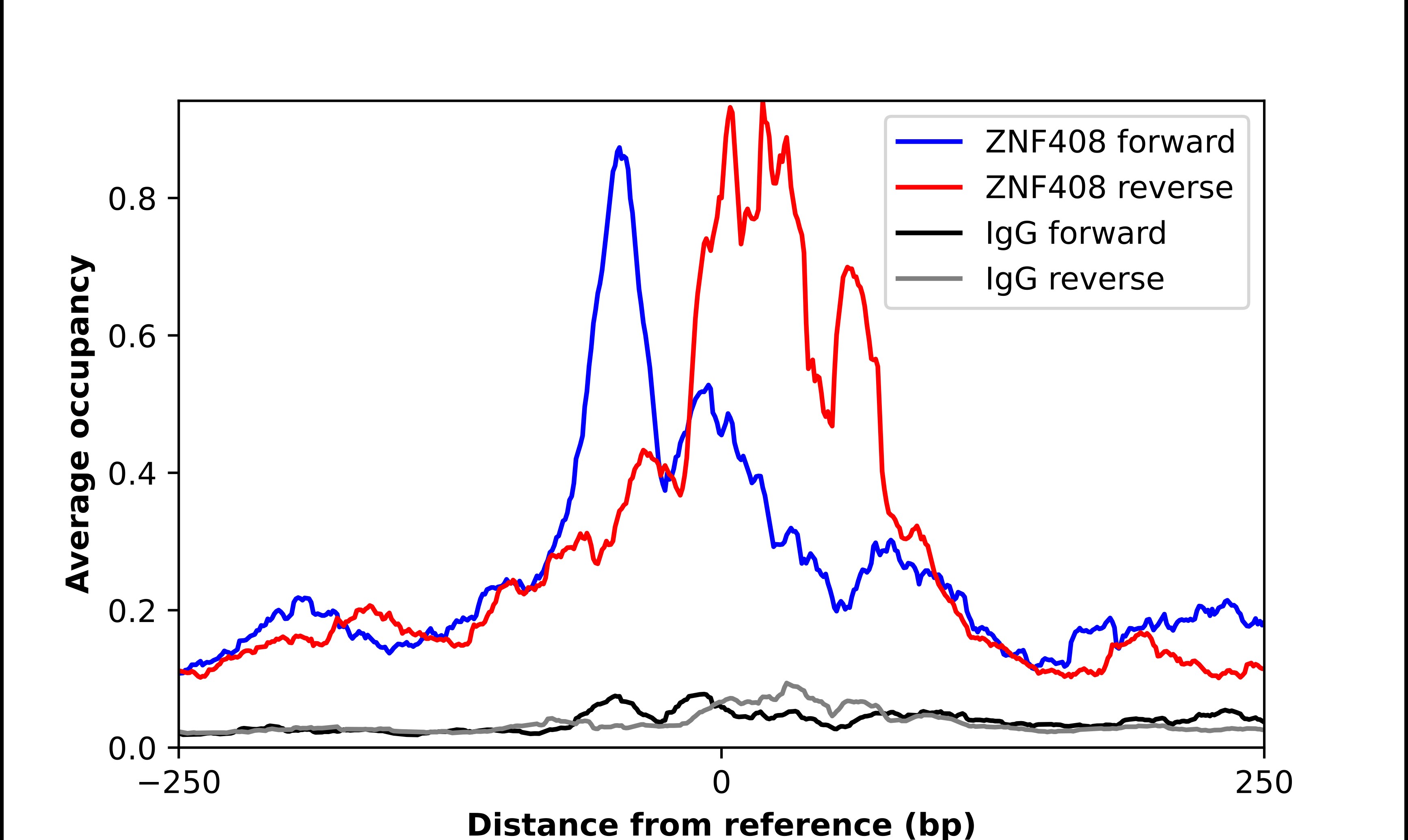 ZNF408 Antibody - BSA Free Chromatin Immunoprecipitation-exo-Seq: ZNF408 Antibody - BSA Free [NBP1-82280]