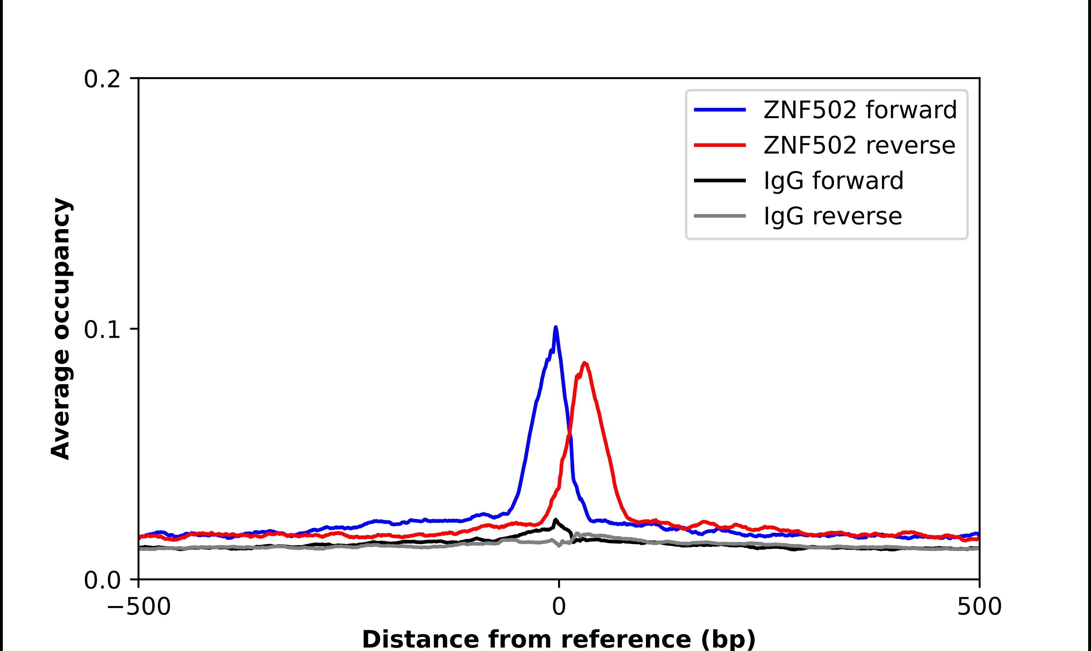 ZNF502 Antibody - BSA Free Chromatin Immunoprecipitation ChIP: ZNF502 Antibody - BSA Free