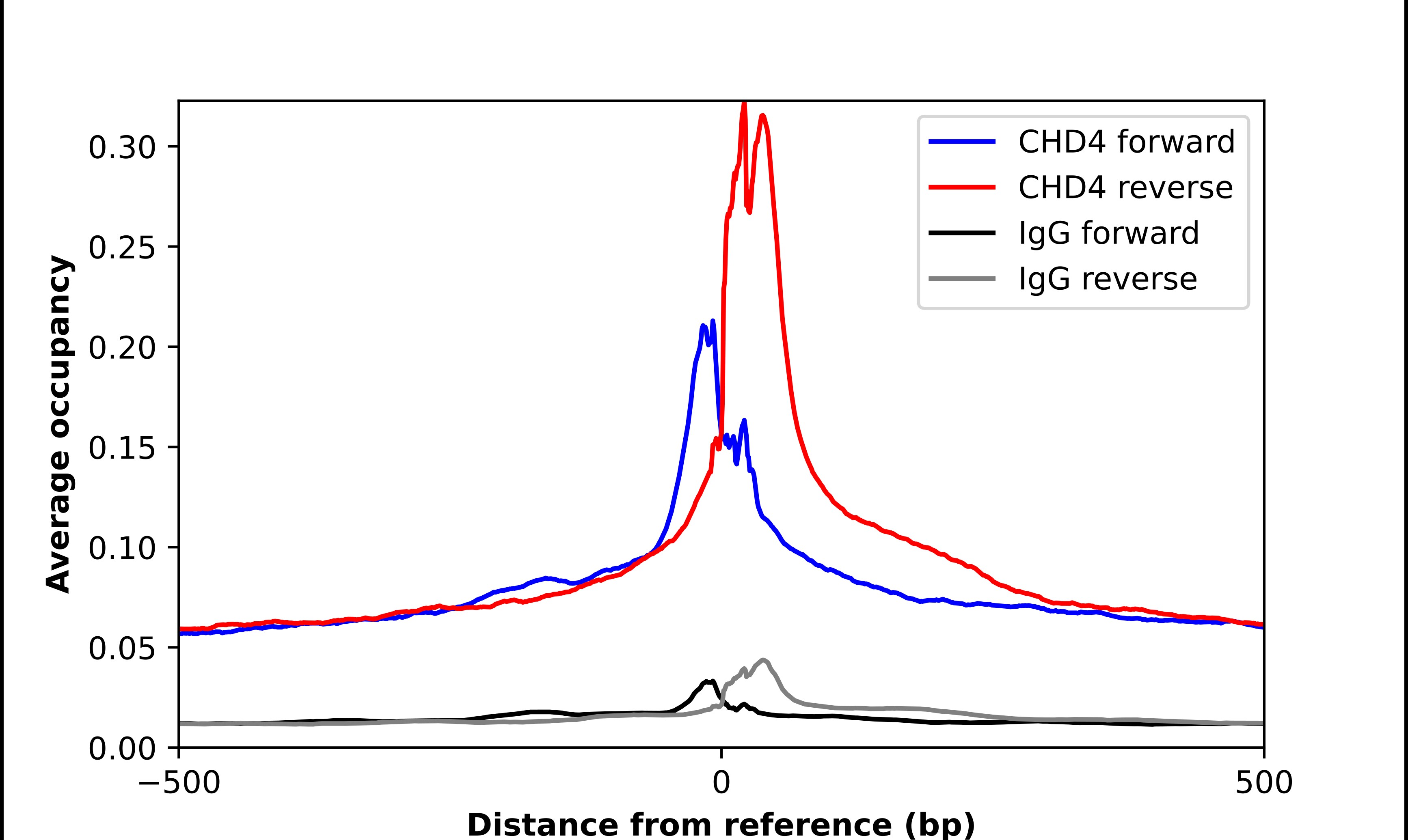 CHD4 Antibody - BSA Free Chromatin Immunoprecipitation-exo-Seq: CHD4 Antibody - BSA Free [NBP1-82651]