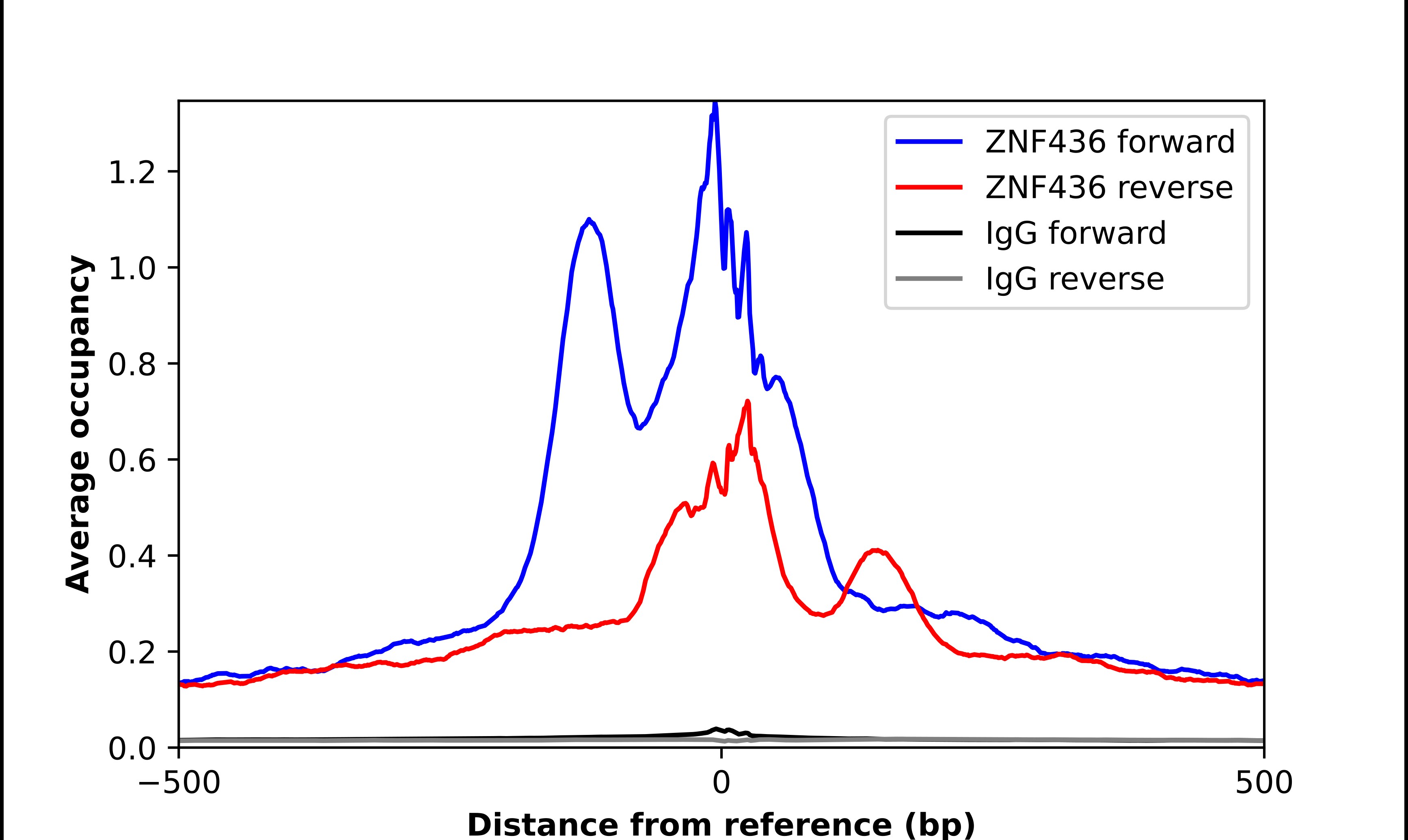 ZNF436 Antibody - BSA Free Chromatin Immunoprecipitation ChIP: ZNF436 Antibody - BSA Free