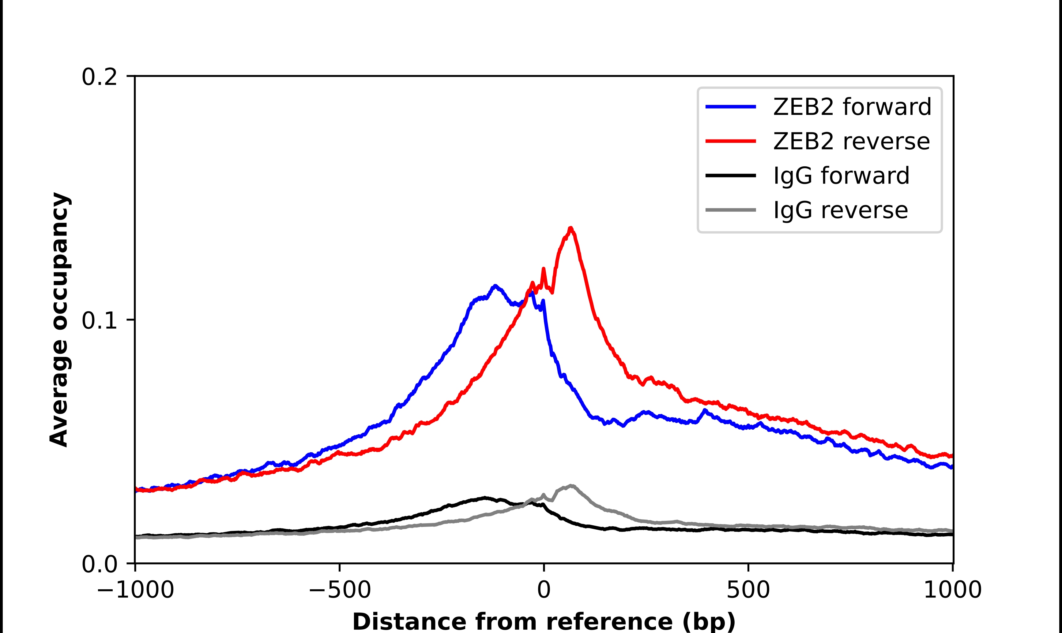 ZEB2 Antibody - BSA Free Chromatin Immunoprecipitation-exo-Seq: ZEB2 Antibody - BSA Free [NBP1-82991]