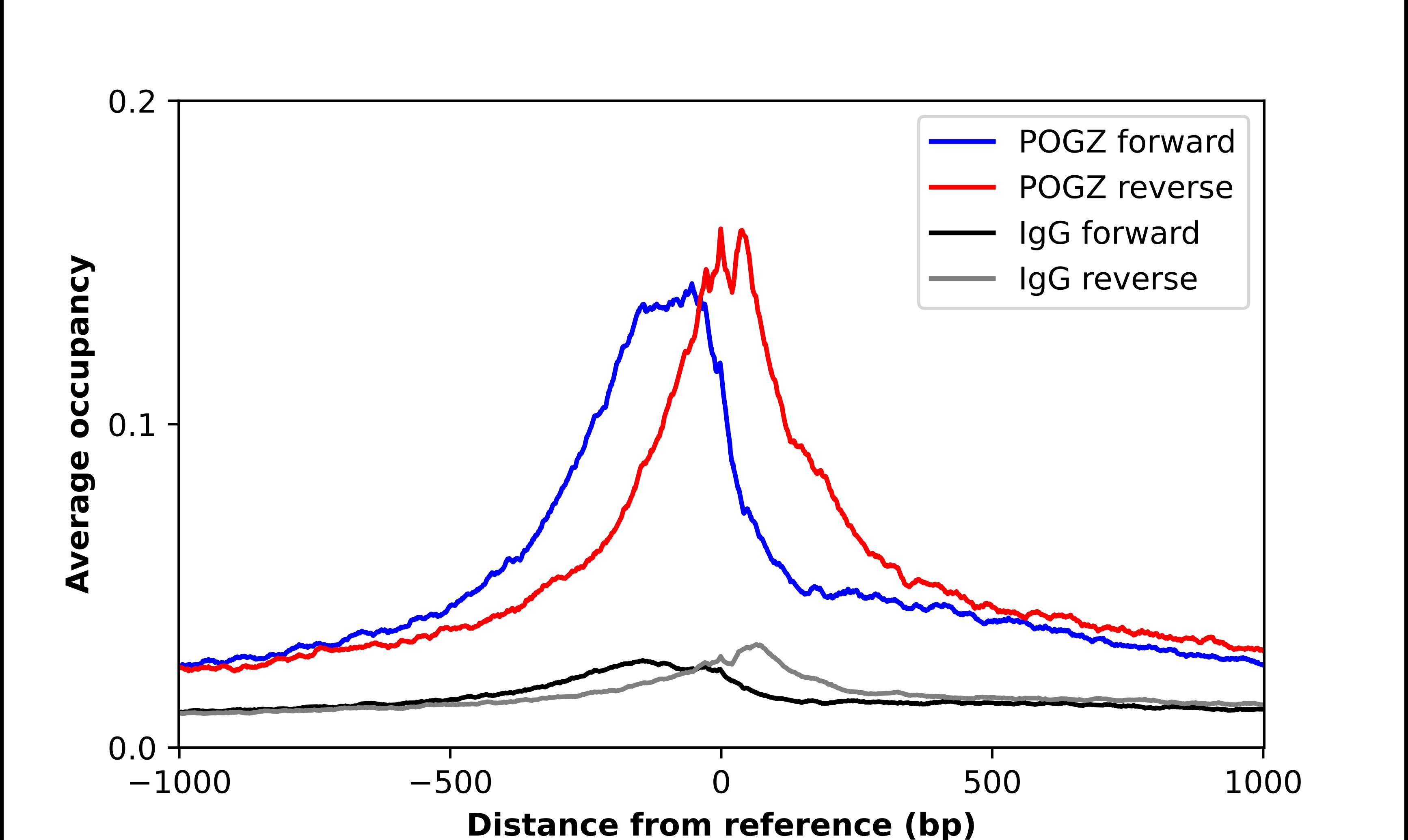 POGZ Antibody - BSA Free Chromatin Immunoprecipitation-exo-Seq: POGZ Antibody - BSA Free [NBP1-83004]