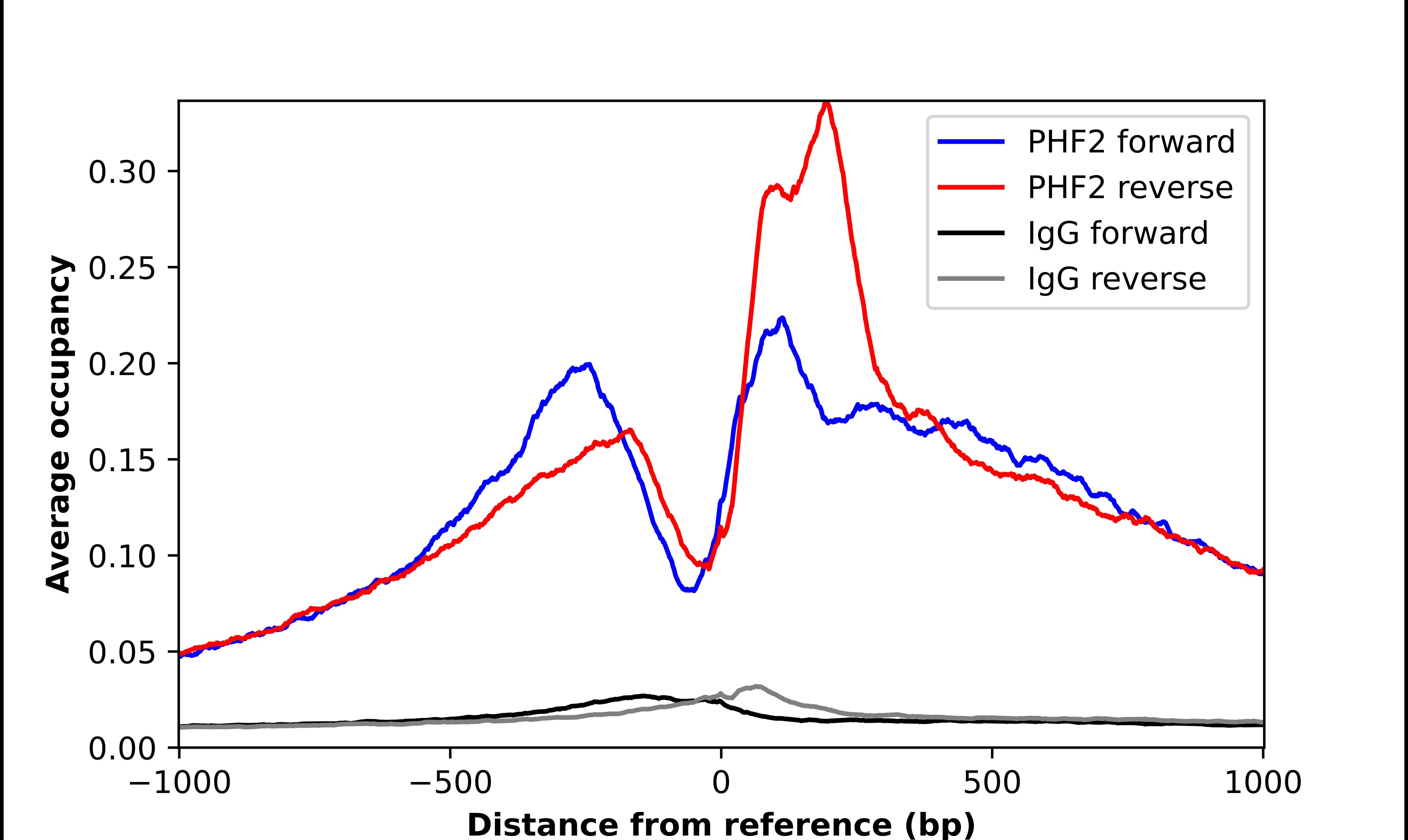 PHF2 Antibody - BSA Free Chromatin Immunoprecipitation ChIP: PHF2 Antibody - BSA Free