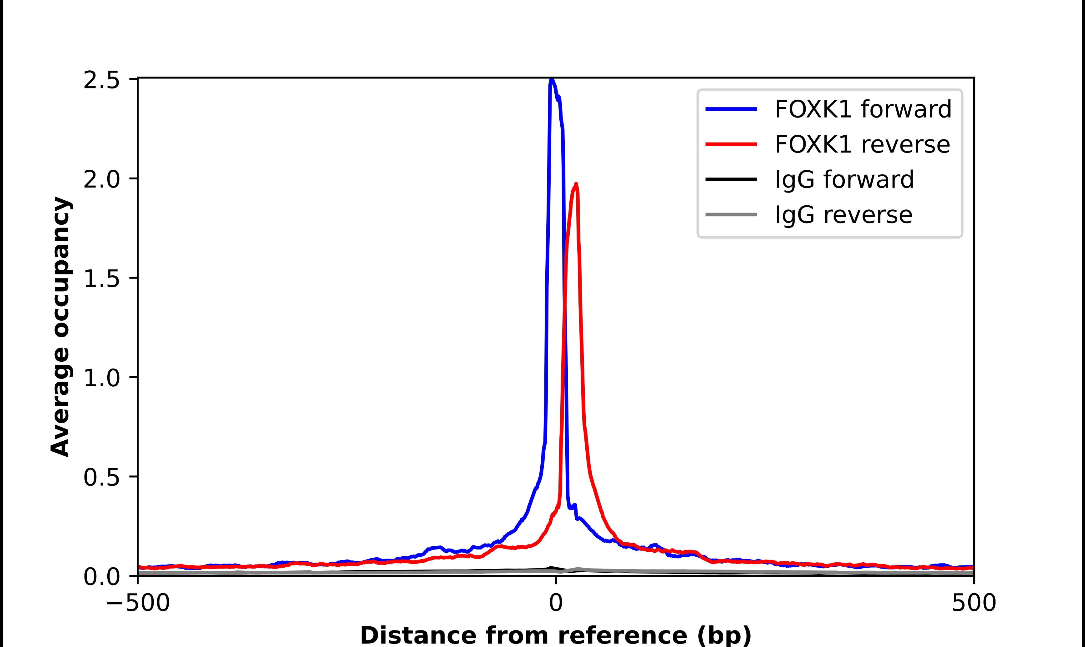 FoxK1 Antibody - BSA Free Chromatin Immunoprecipitation-exo-Seq: FoxK1 Antibody - BSA Free [NBP1-83109]
