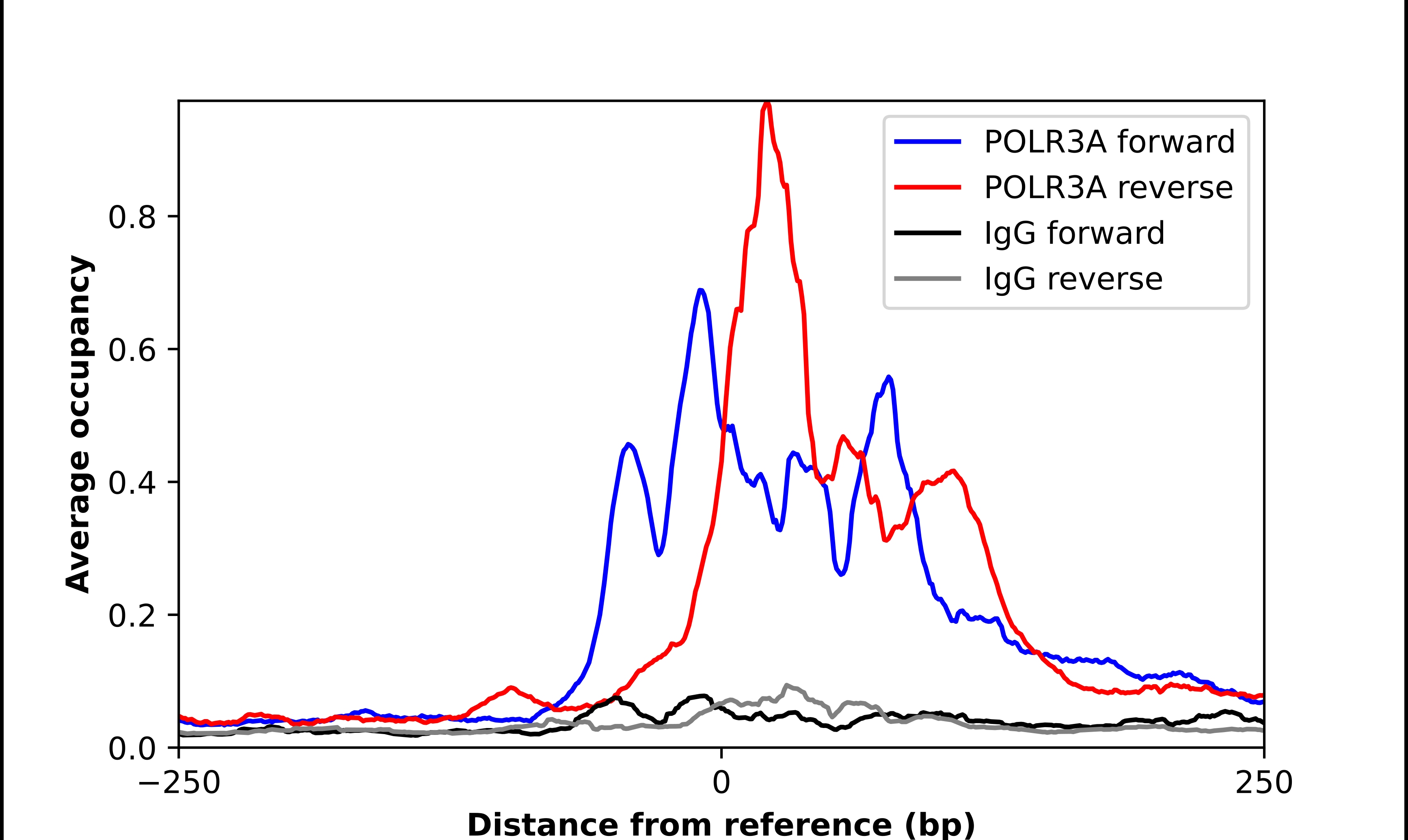 POLR3A Antibody - BSA Free Chromatin Immunoprecipitation-exo-Seq: POLR3A Antibody - BSA Free [NBP1-83204]