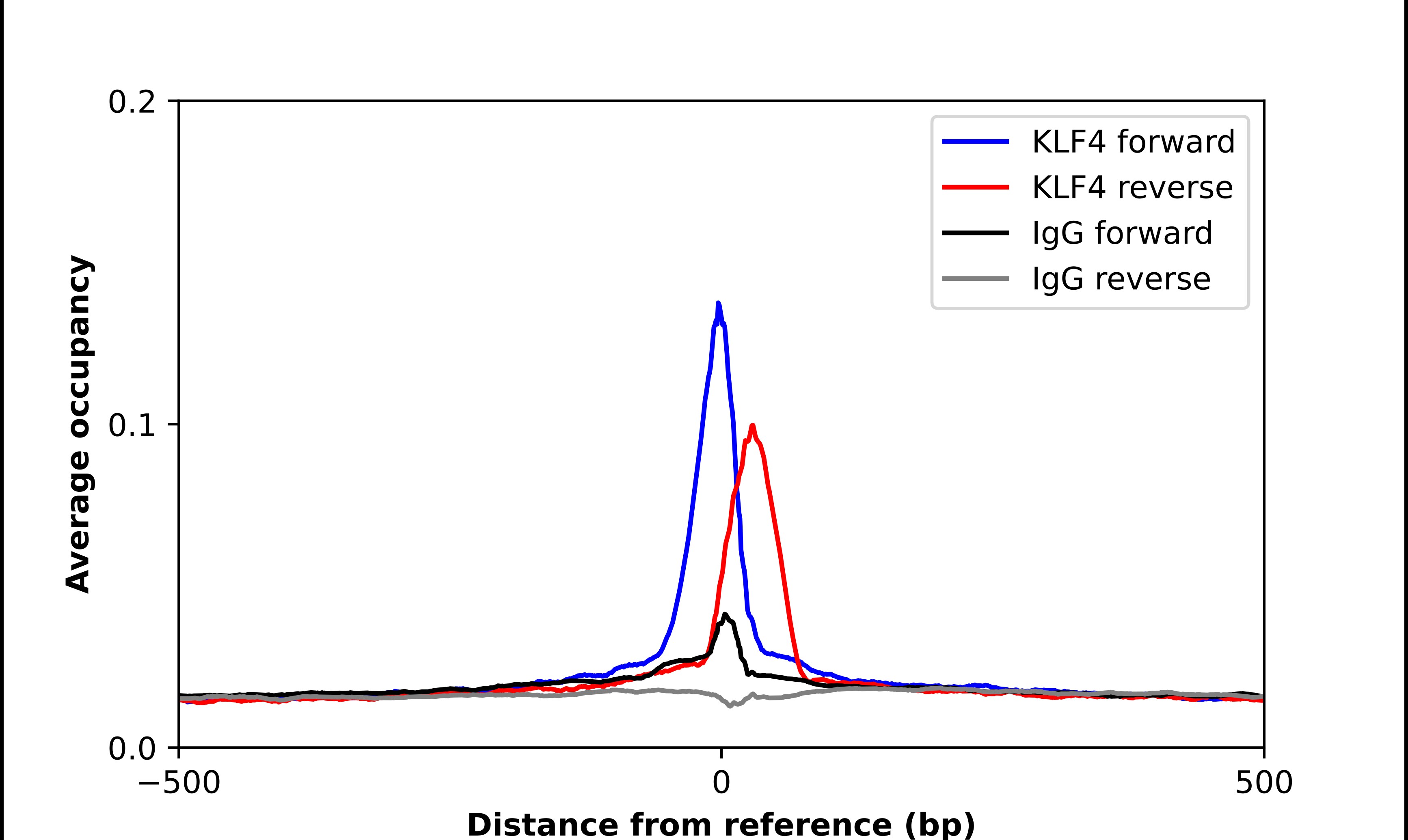 KLF4 Antibody - BSA Free Chromatin Immunoprecipitation-exo-Seq: KLF4 Antibody - BSA Free [NBP1-83940]