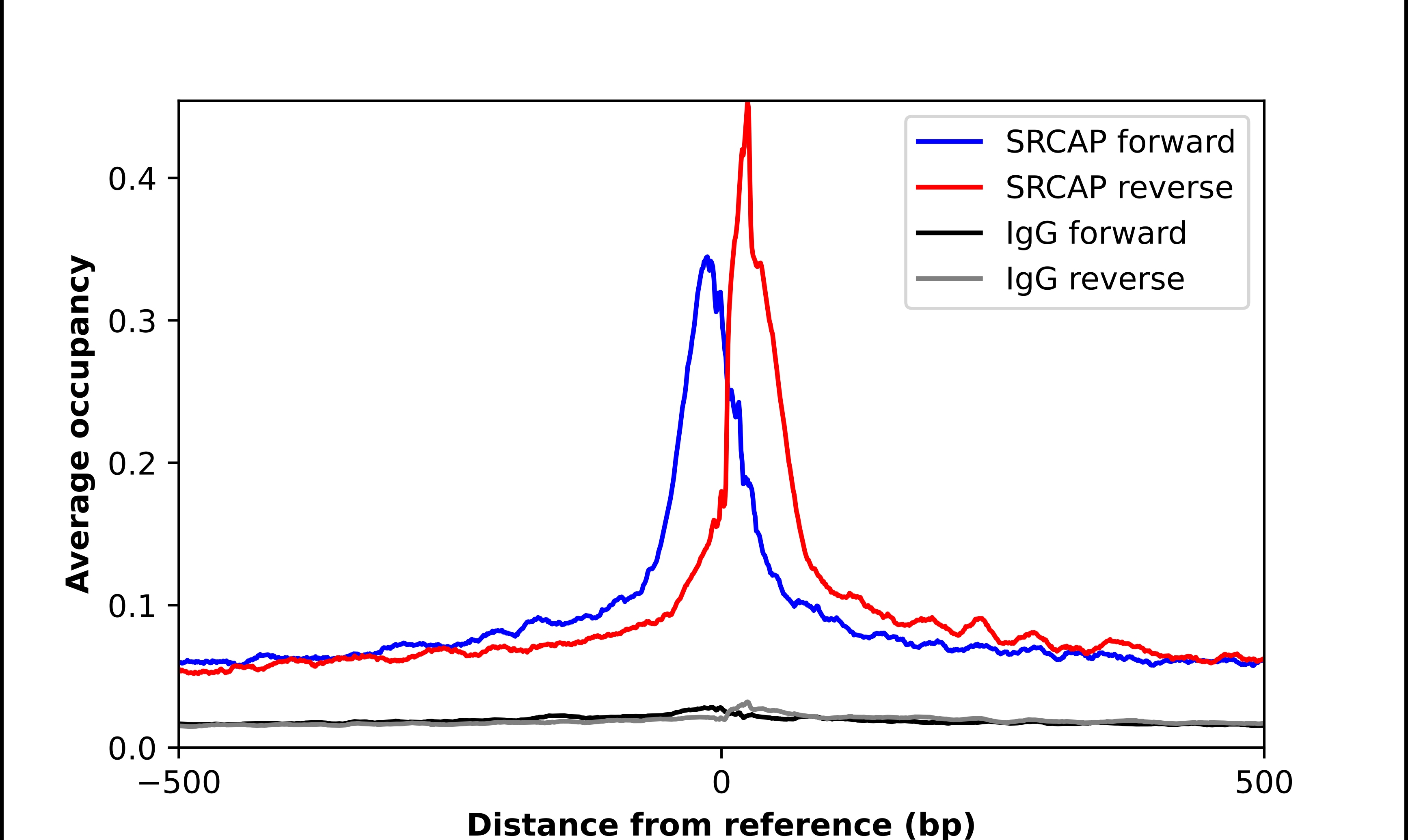 SRCAP Antibody - BSA Free Chromatin Immunoprecipitation-exo-Seq: SRCAP Antibody - BSA Free [NBP1-84063]