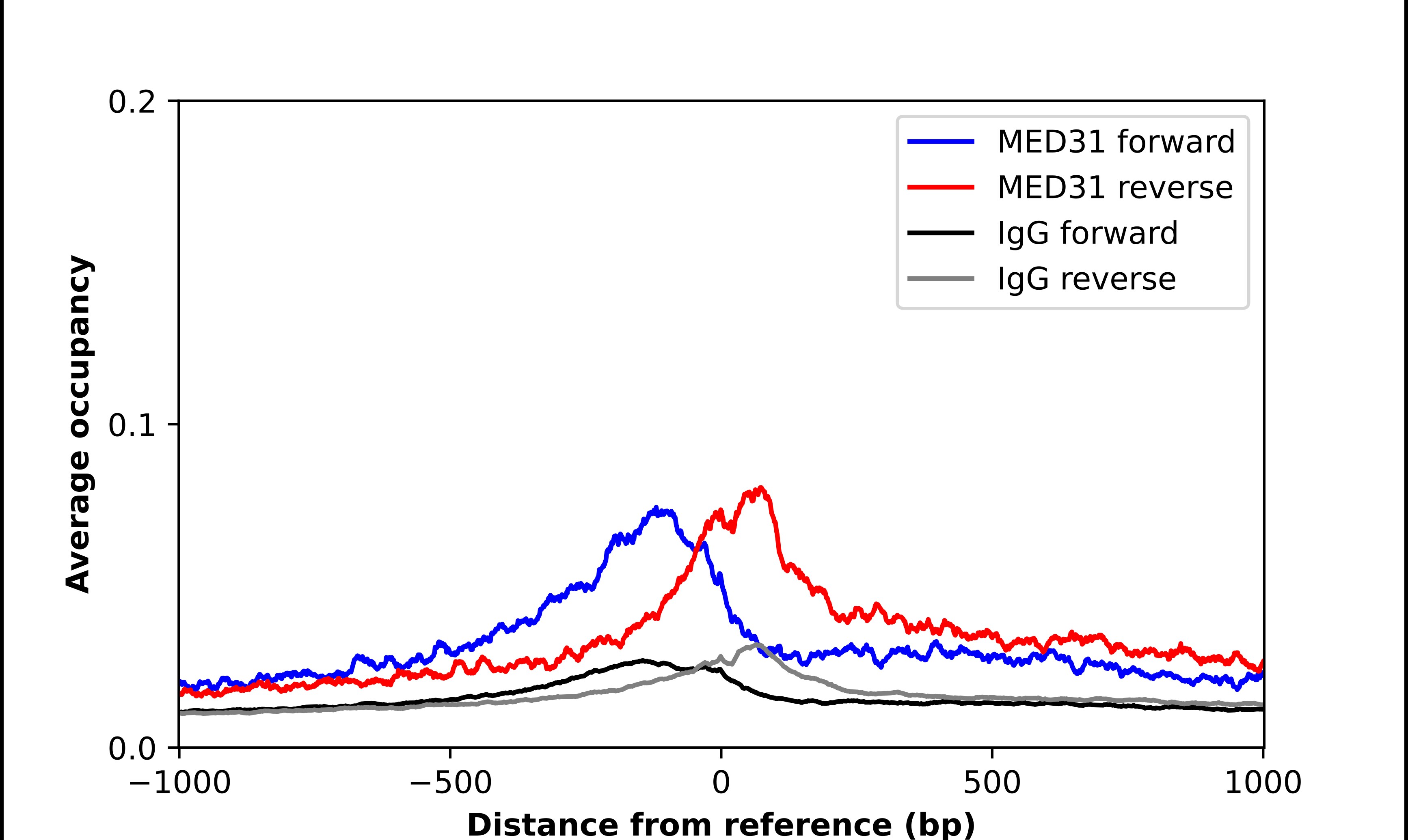 MED31 Antibody - BSA Free Chromatin Immunoprecipitation-exo-Seq: MED31 Antibody - BSA Free [NBP1-84519]