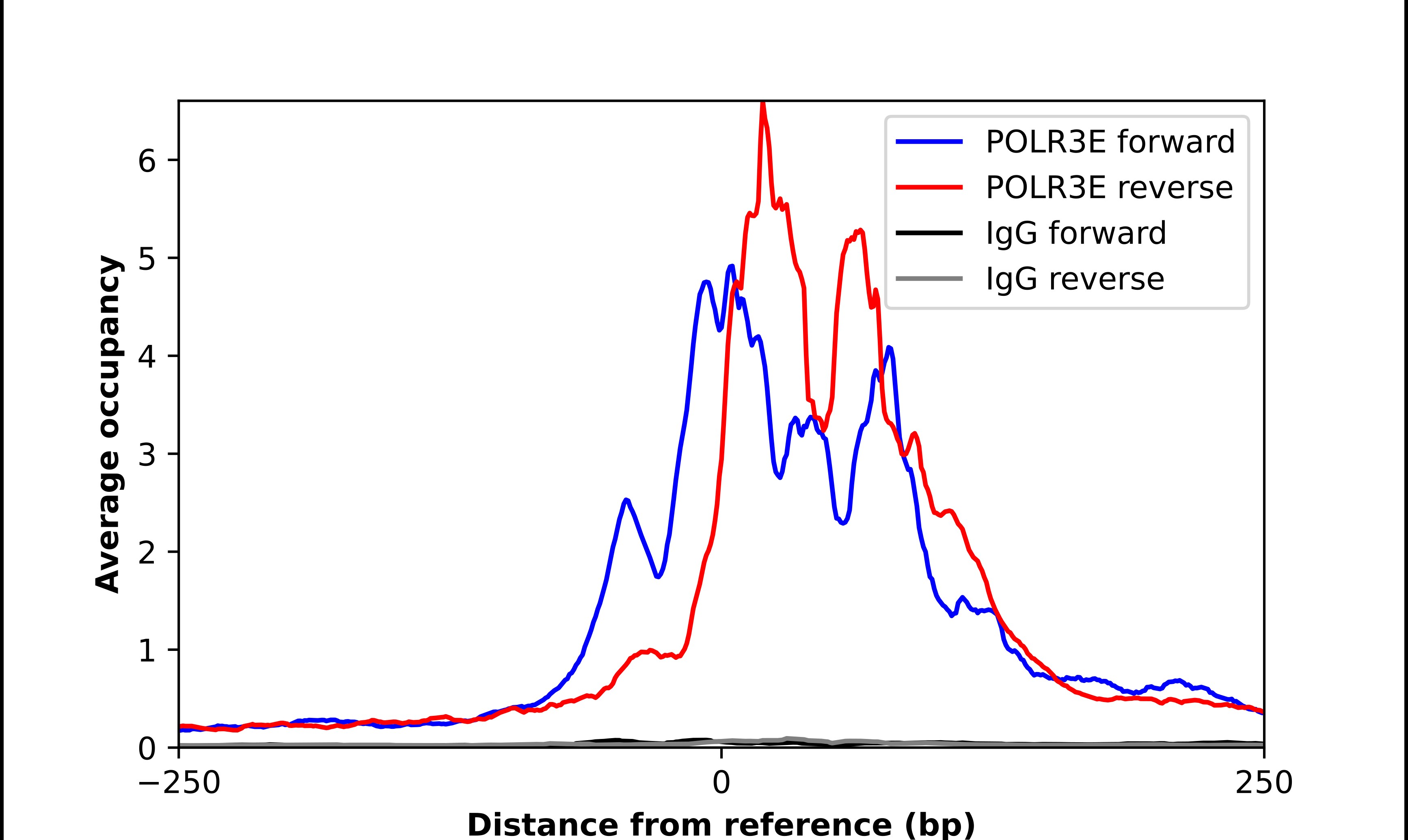 POLR3E Antibody - BSA Free Chromatin Immunoprecipitation-exo-Seq: POLR3E Antibody - BSA Free [NBP1-84621]