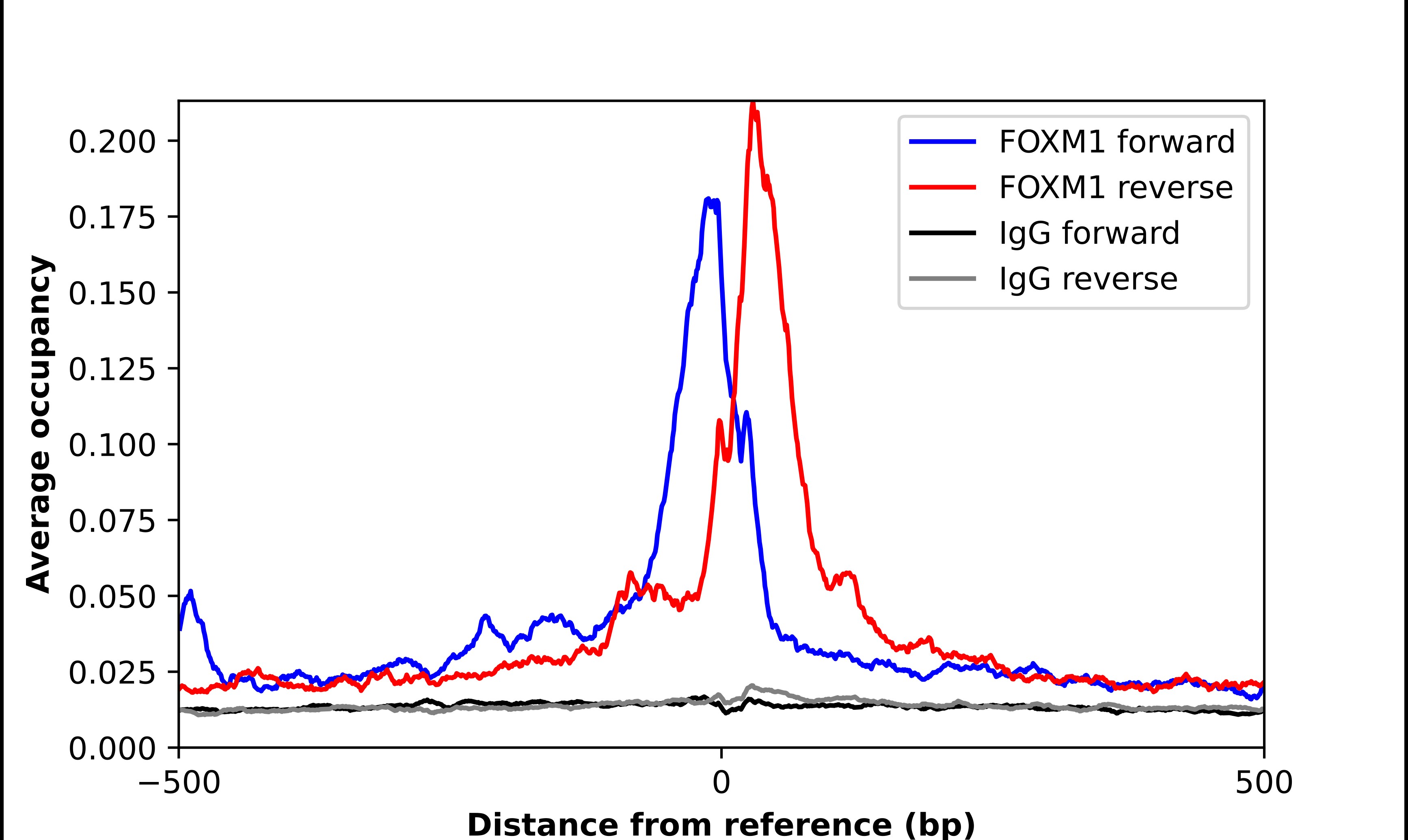 FoxM1 Antibody - BSA Free Chromatin Immunoprecipitation-exo-Seq: FoxM1 Antibody - BSA Free [NBP1-84671]