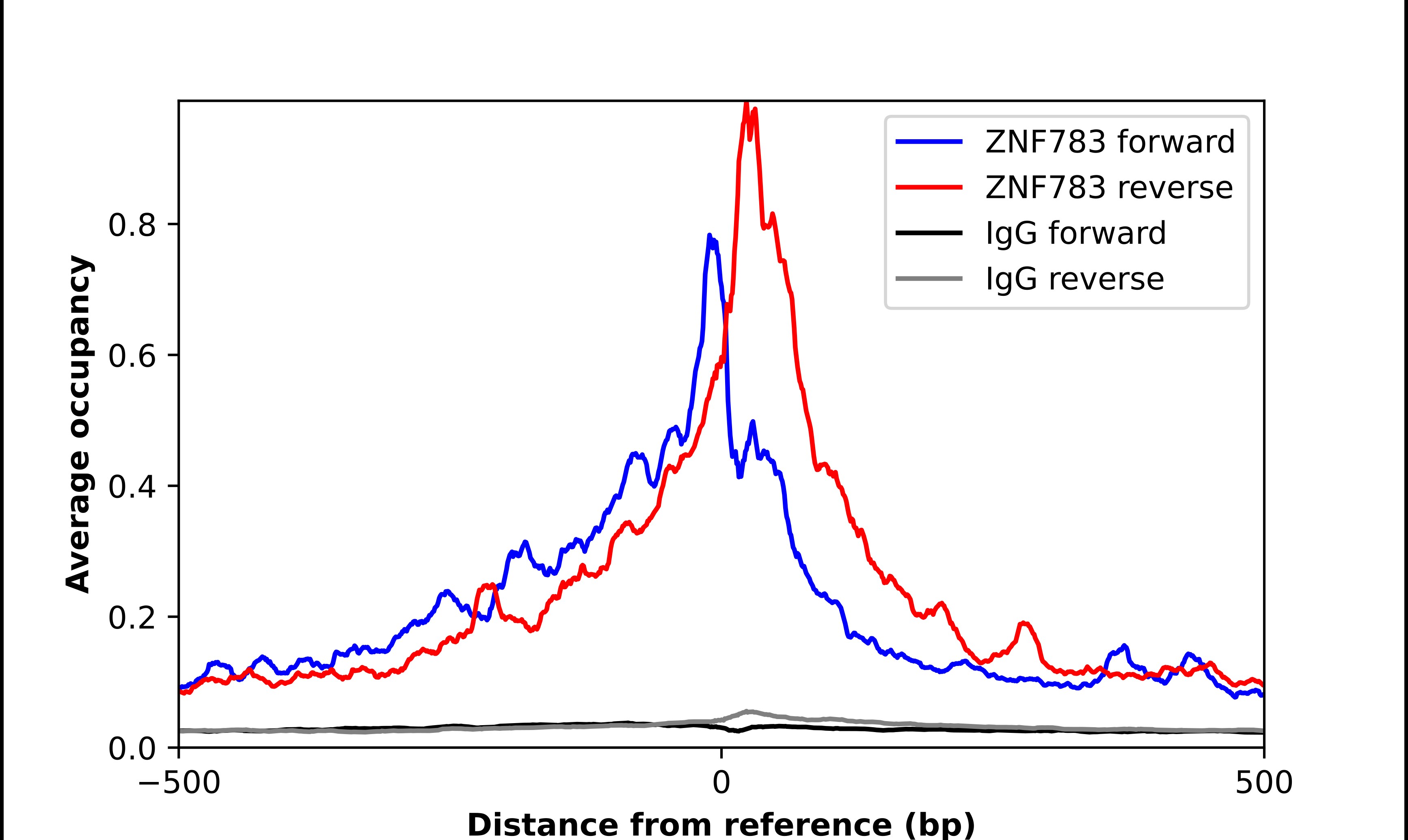 ZNF783 Antibody - BSA Free Chromatin Immunoprecipitation-exo-Seq: ZNF783 Antibody - BSA Free [NBP1-85058]
