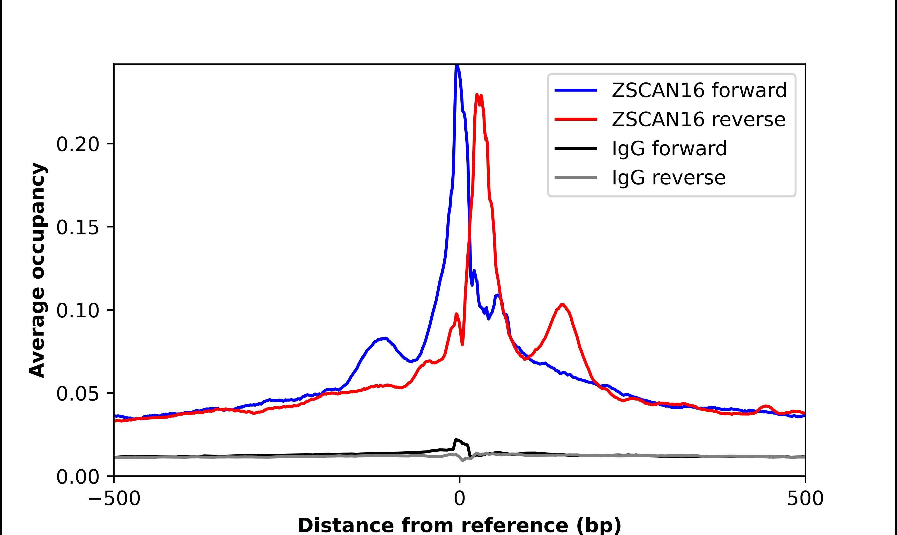 ZSCAN16 Antibody - BSA Free Chromatin Immunoprecipitation ChIP: ZSCAN16 Antibody - BSA Free