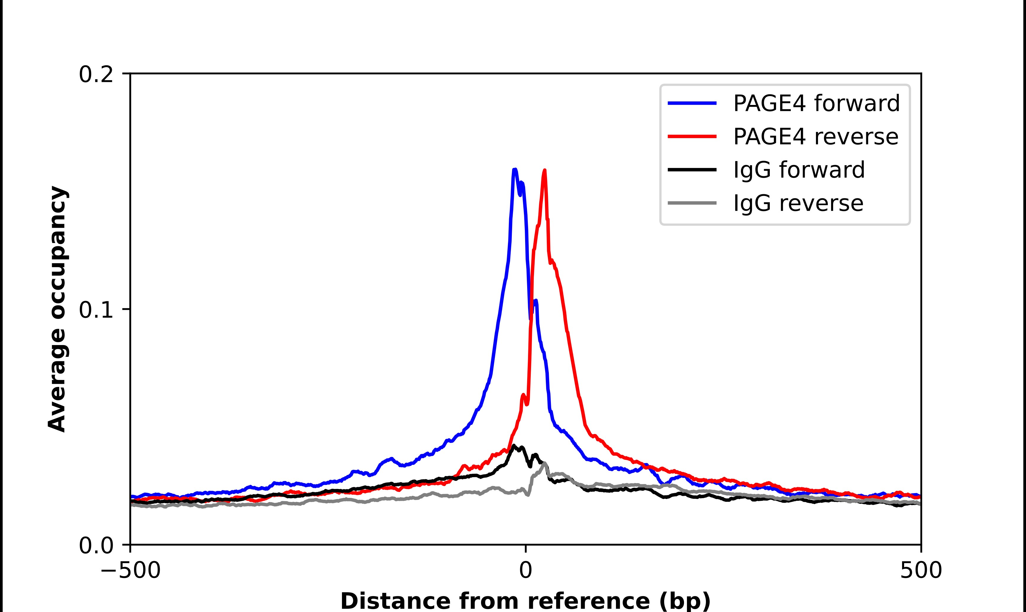 PAGE4 Antibody - BSA Free Chromatin Immunoprecipitation ChIP: PAGE4 Antibody - BSA Free