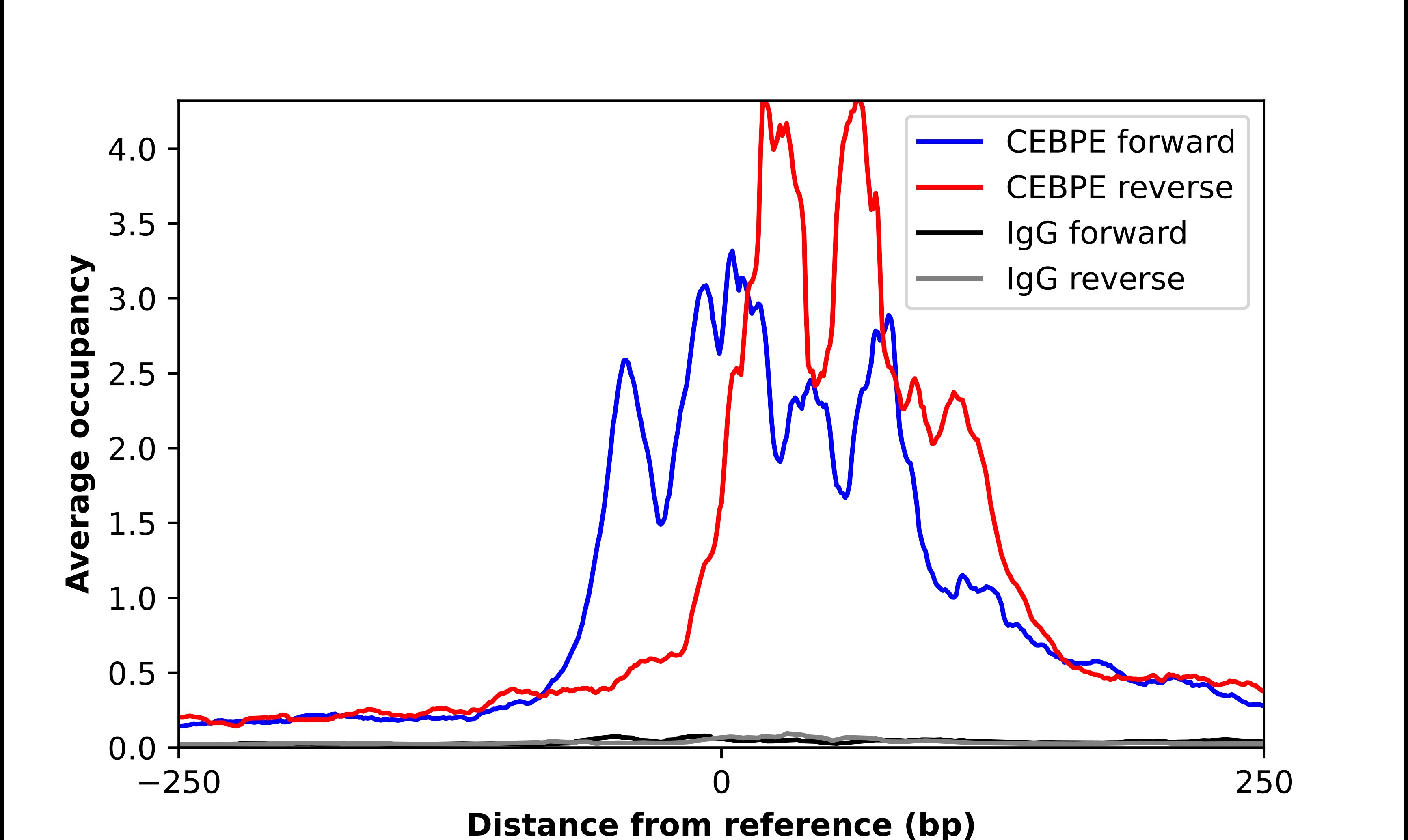 CEBP epsilon Antibody - BSA Free Chromatin Immunoprecipitation-exo-Seq: CEBP epsilon Antibody - BSA Free [NBP1-85446]